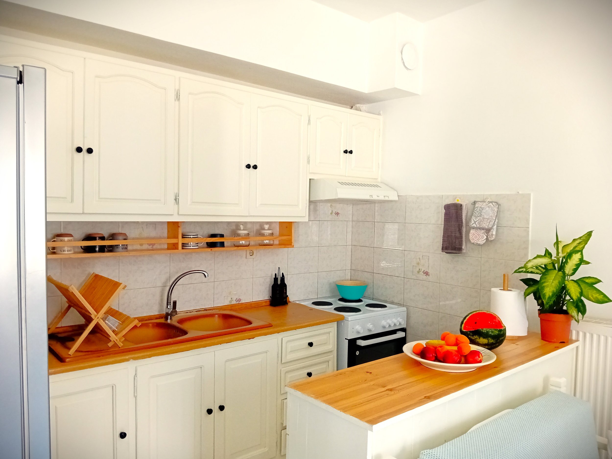spacious_house_with_garden_kitchen_cupboard.jpg