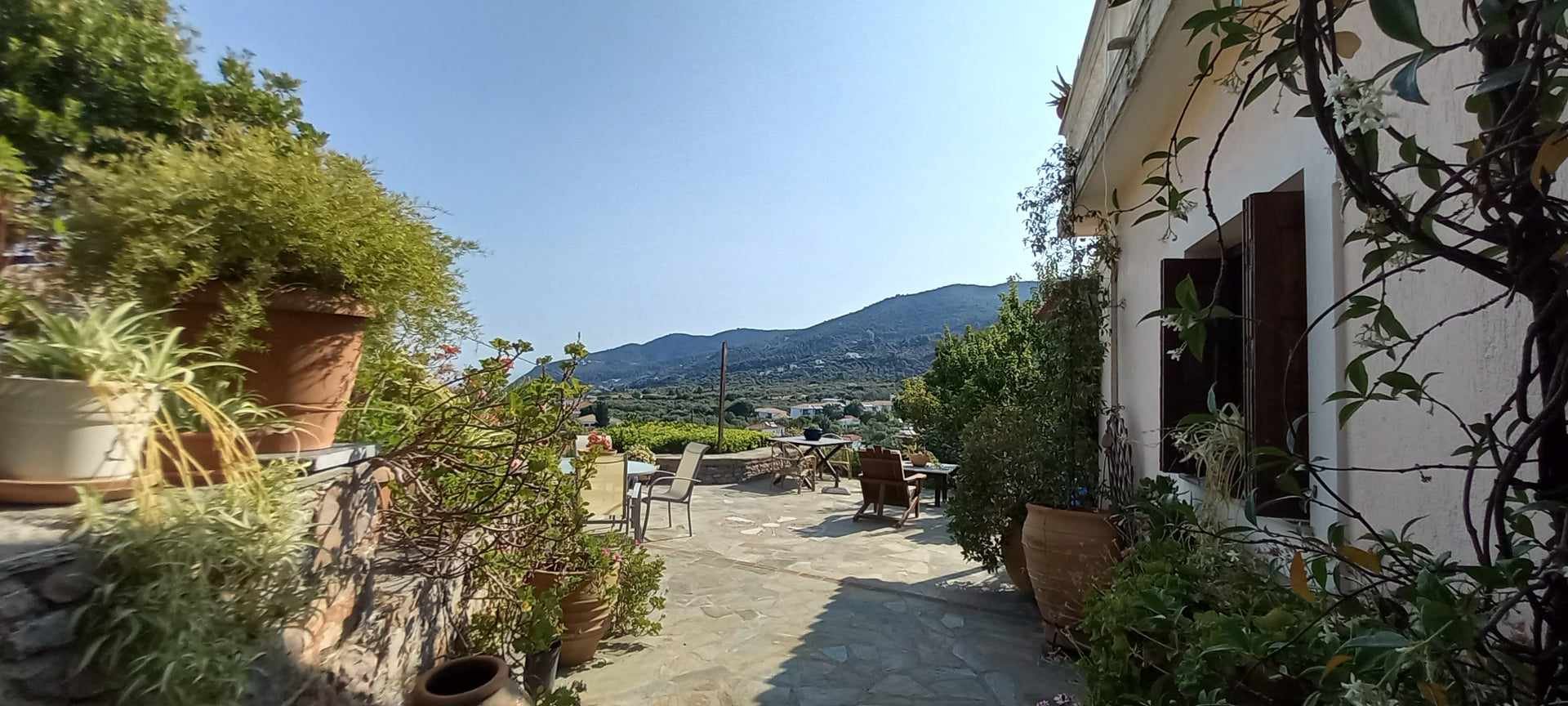 three_bedroom_house_with_garden_and_seaview_tree_wall.jpg