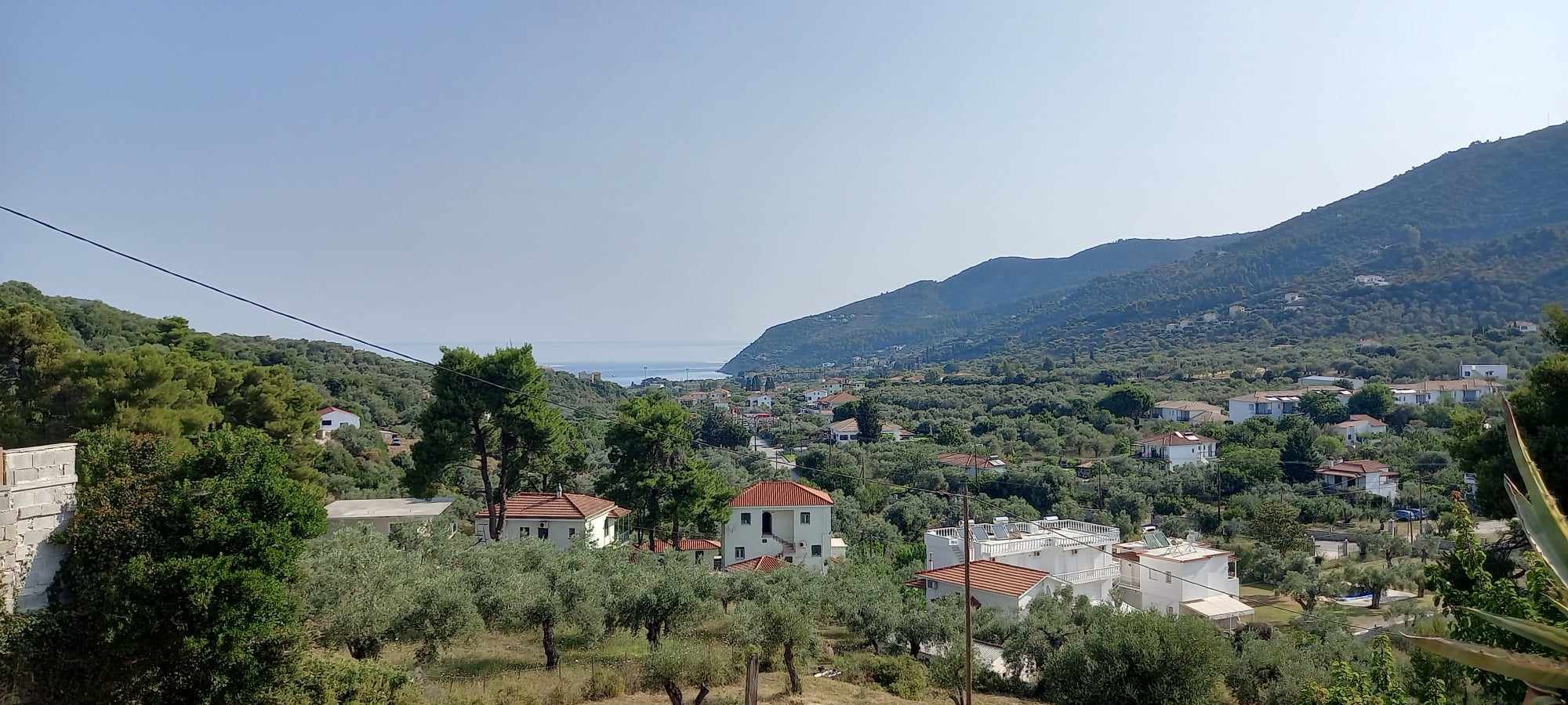 three_bedroom_house_with_garden_and_seaview_trees.jpg