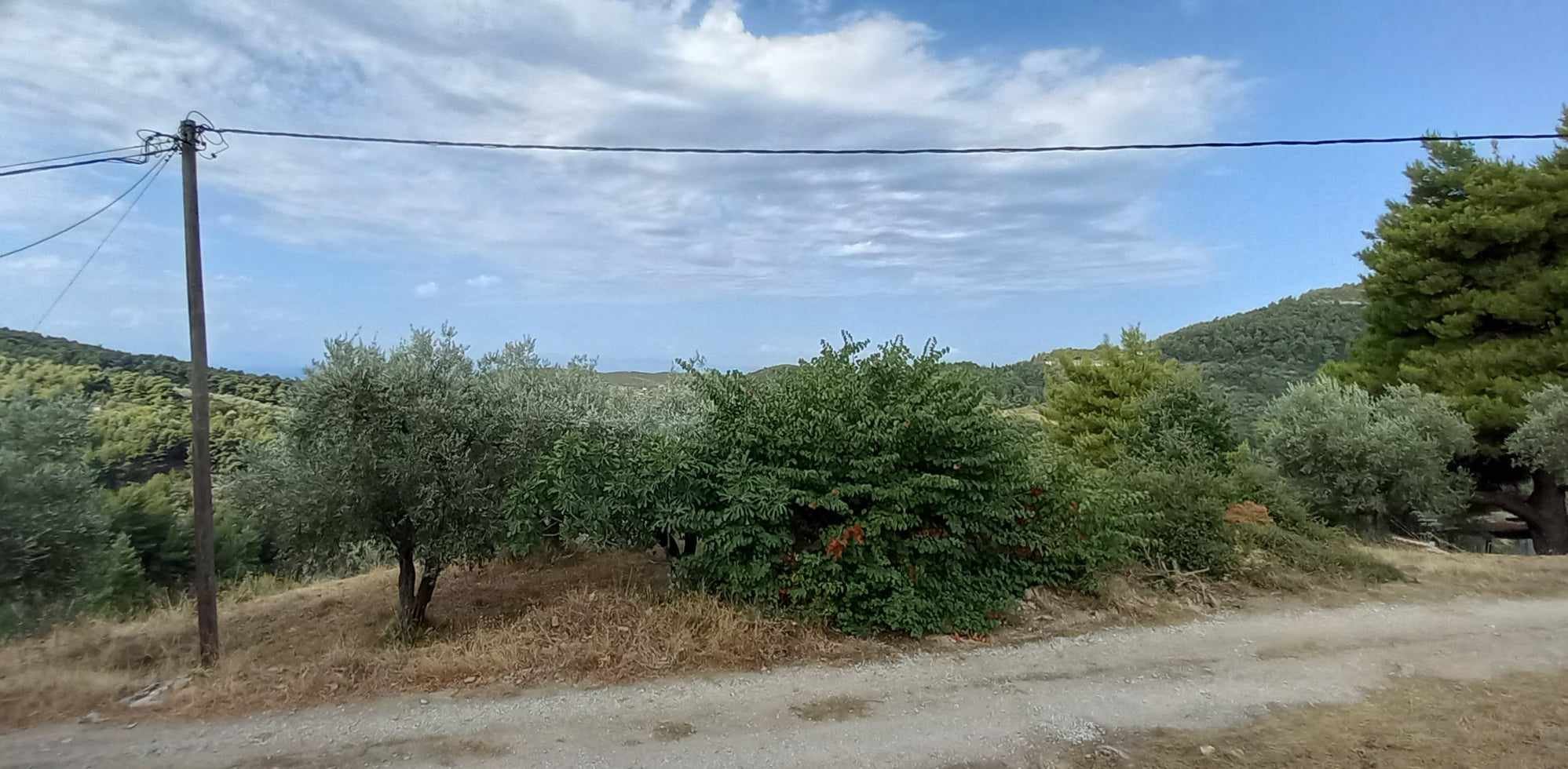 authentic_romantic_greek_farmhouse_road.jpg