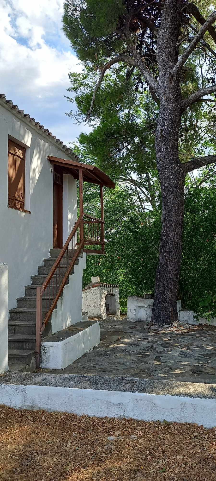 authentic_romantic_greek_farmhouse_tree.jpg