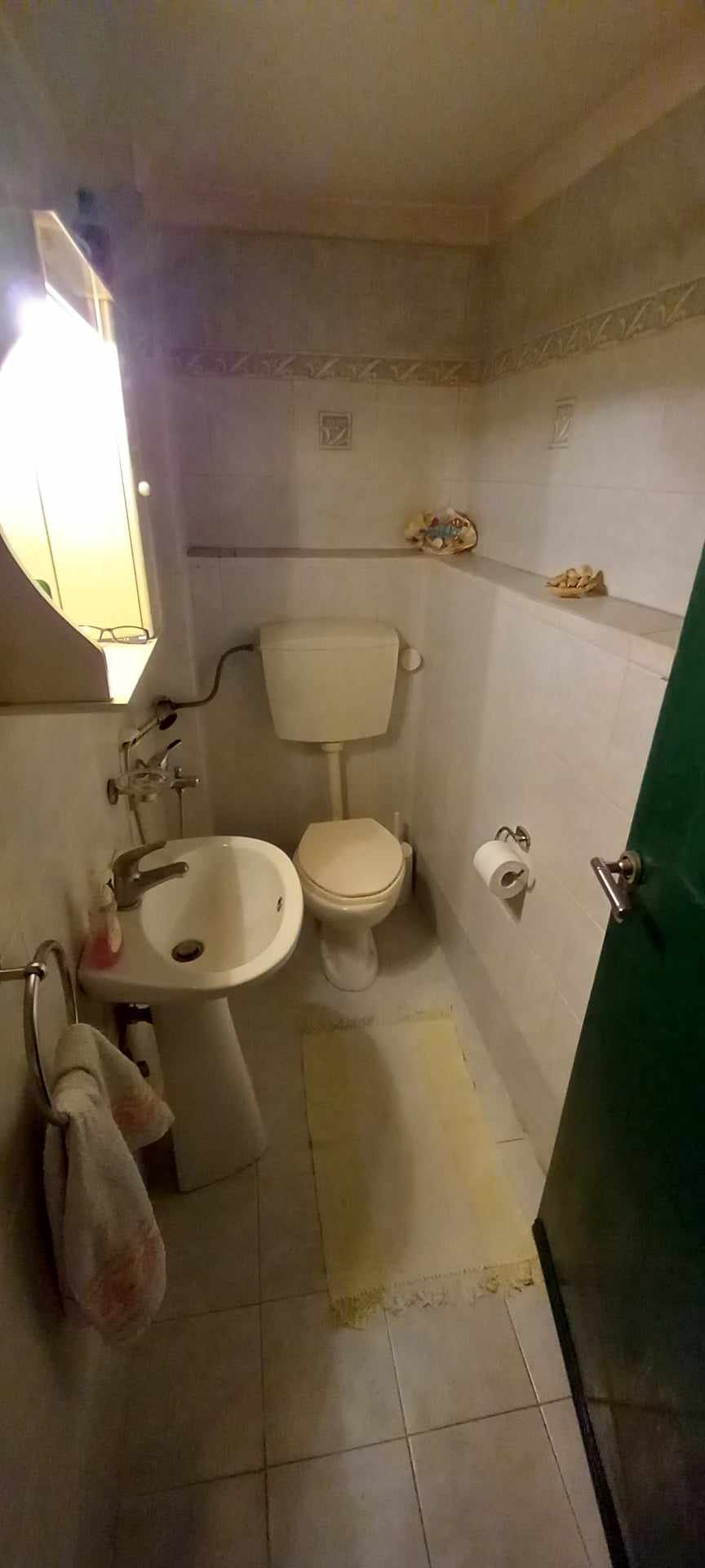 Spacious_three_bedroom_house_with_a_terrace_wc_sink.jpg