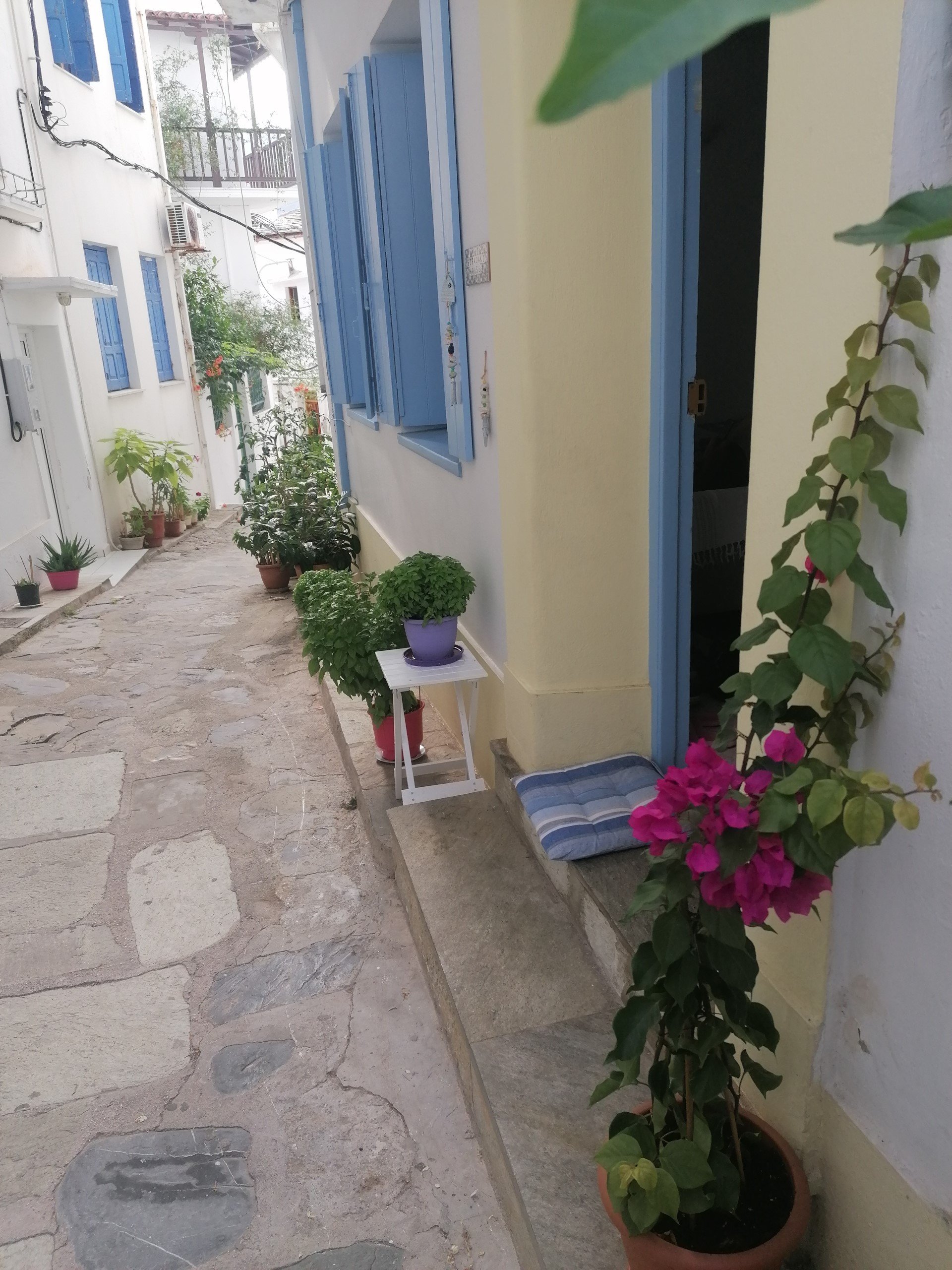 two_bedroom_house_close_to_the_harbor_flowers_close.jpg