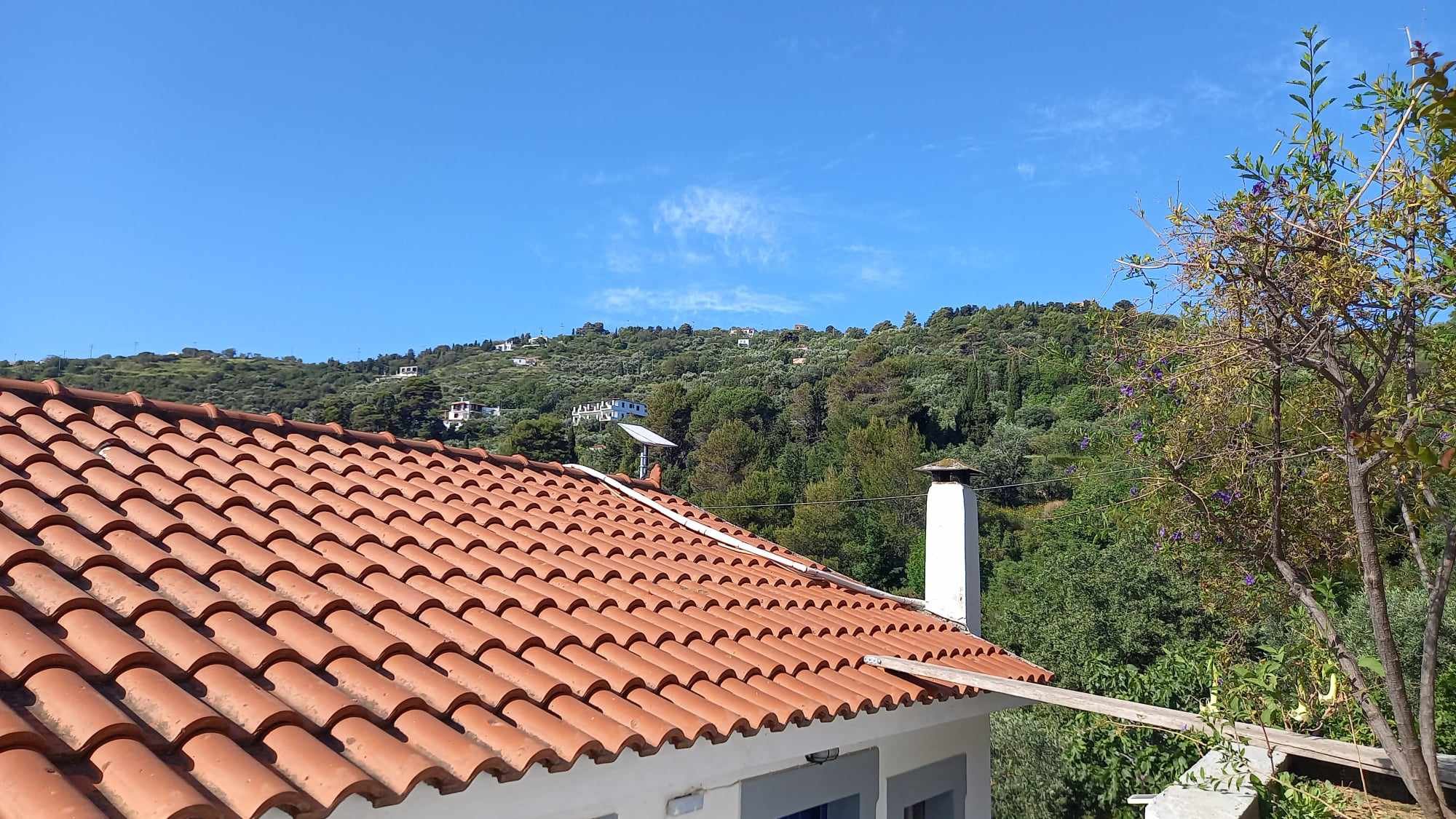 nothing_else_to_wish_for_roof.jpg