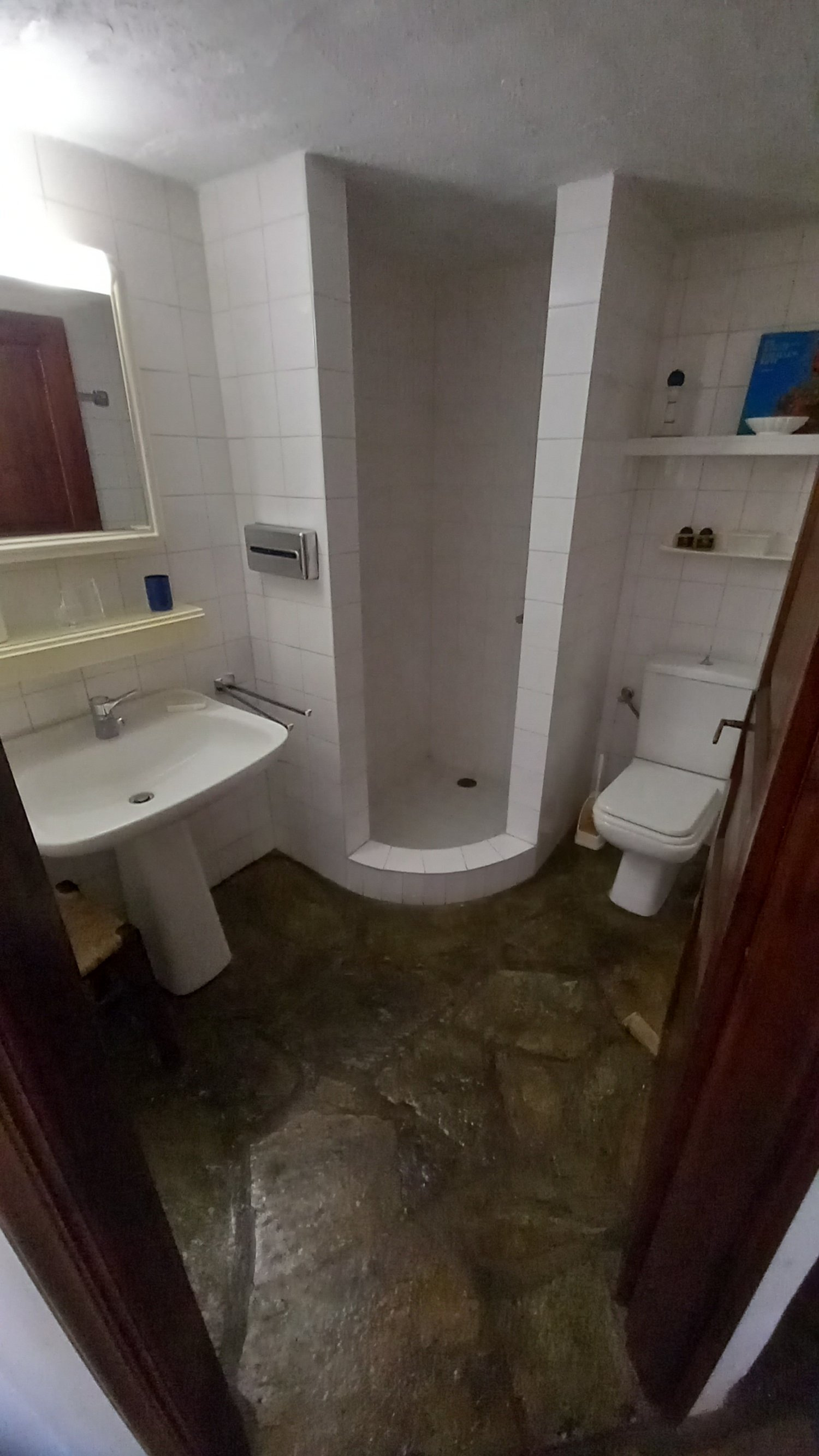 beautiful_big_estate_with_swimmingpool_bathroom_guesthouse.jpg