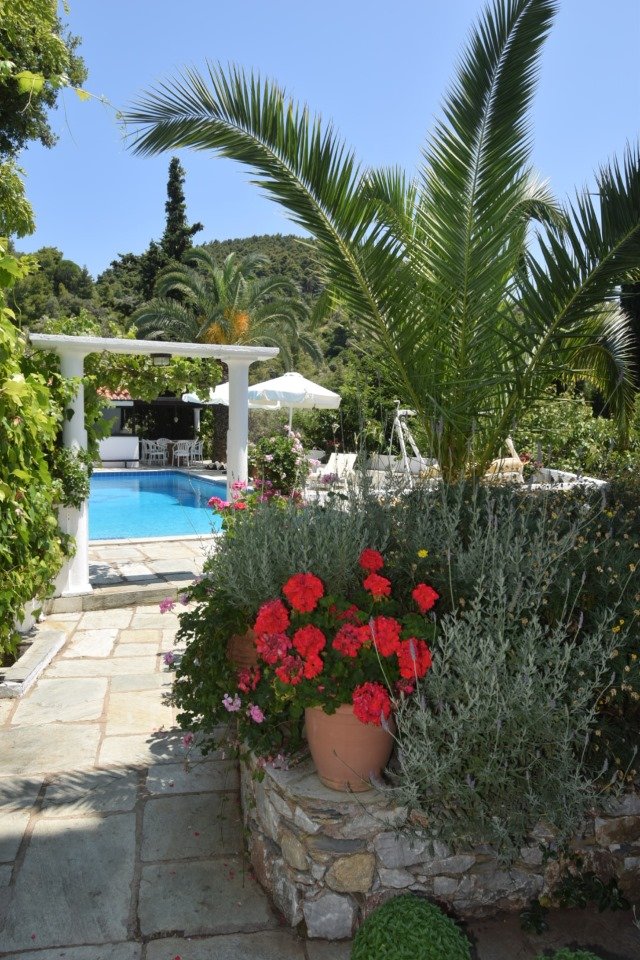 beautiful_big_estate_with_swimmingpool_geraniums.jpg