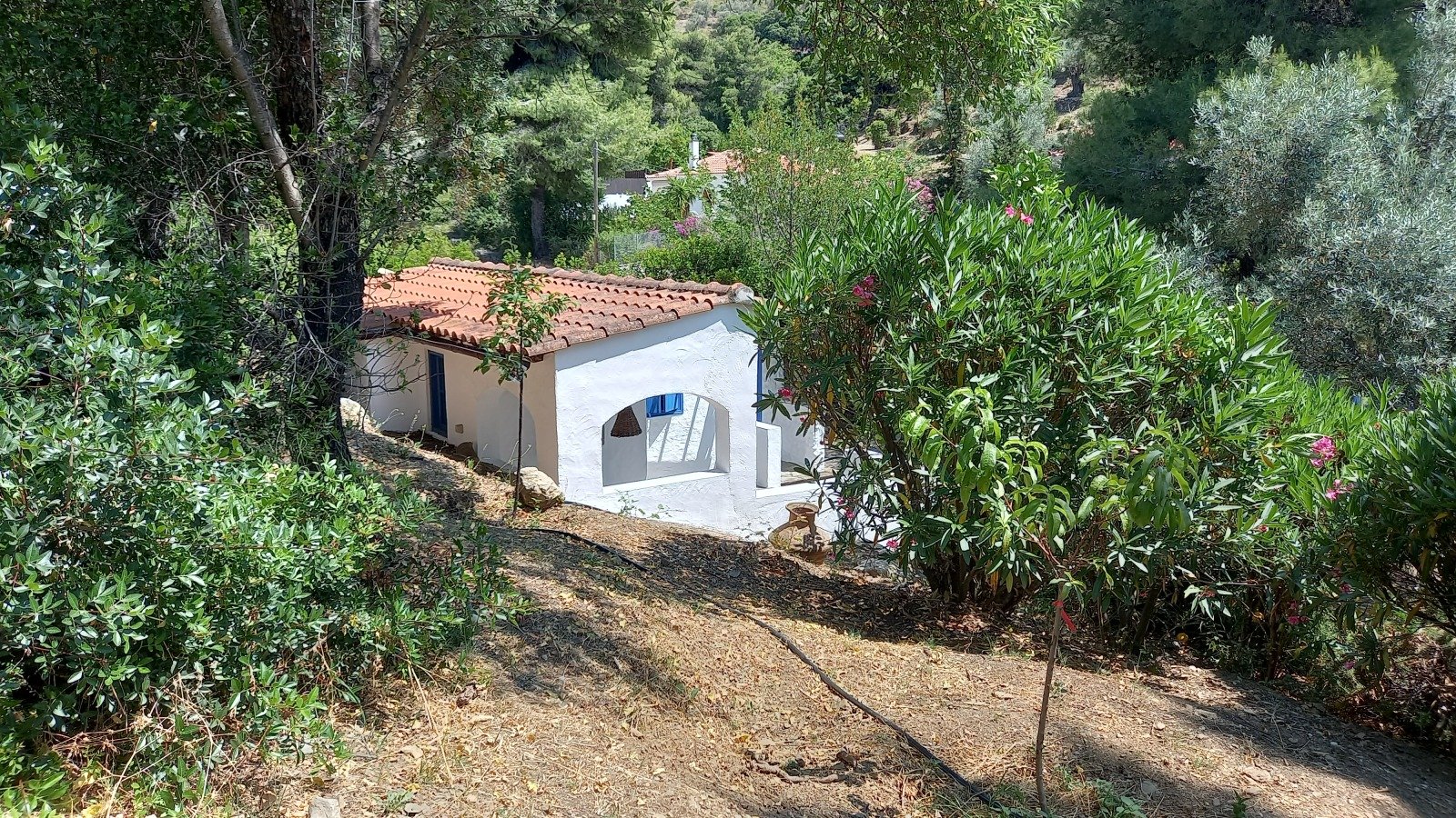 beautiful_big_estate_with_swimmingpool_self_contained_guest_house.jpg