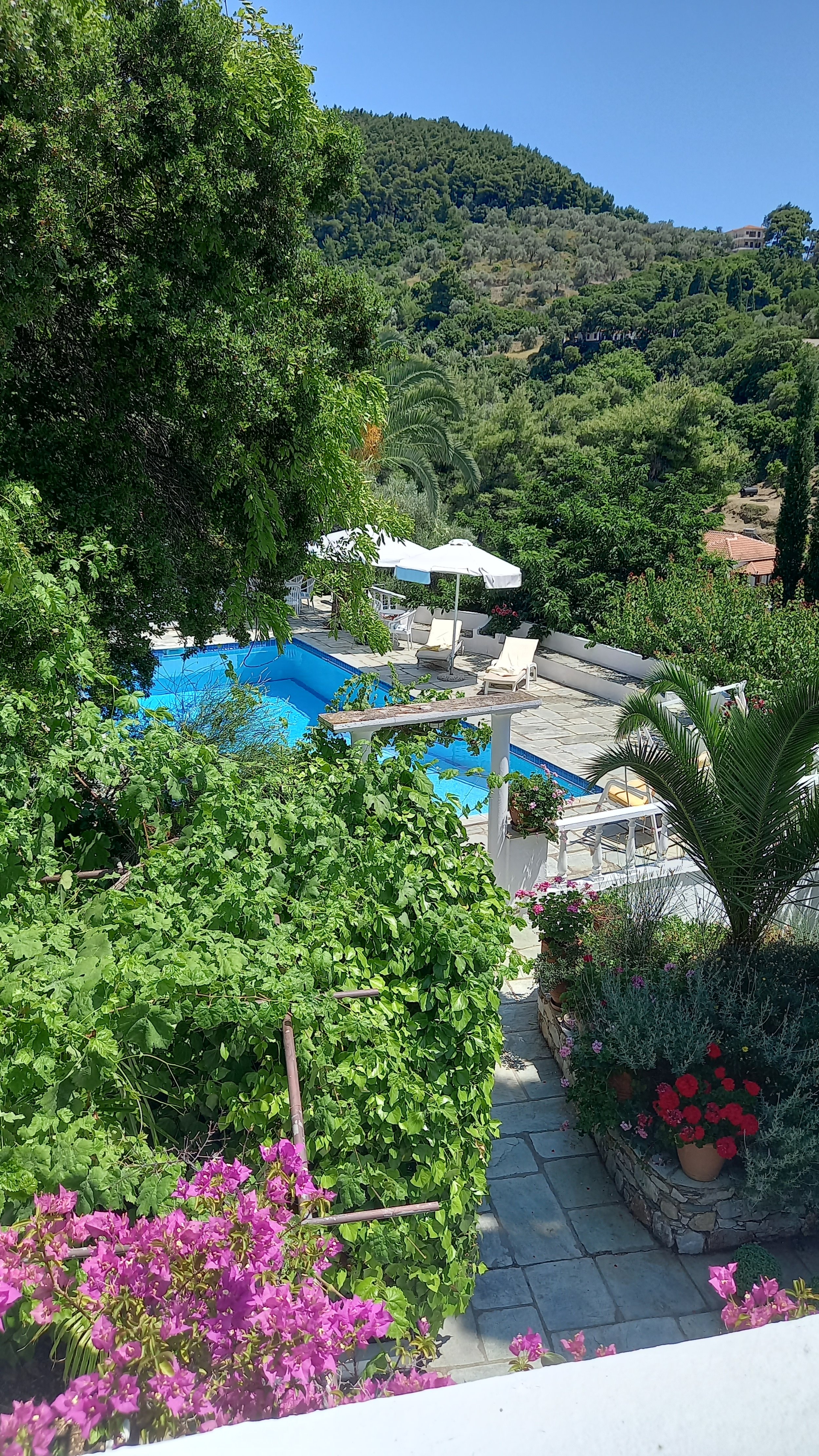 beautiful_big_estate_with_swimmingpool_swimming_pool_far.jpg