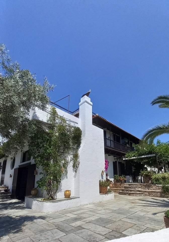 beautiful_big_estate_with_swimmingpool_corner_of_the_house.jpg