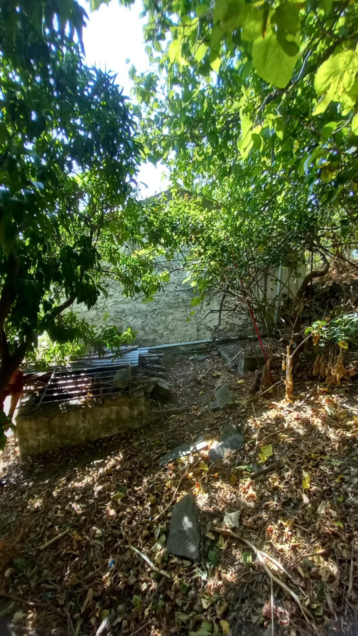 farmhouse_with_beautiful_piece_of_land_in_ Skopelos_town_tin_roof.jpg