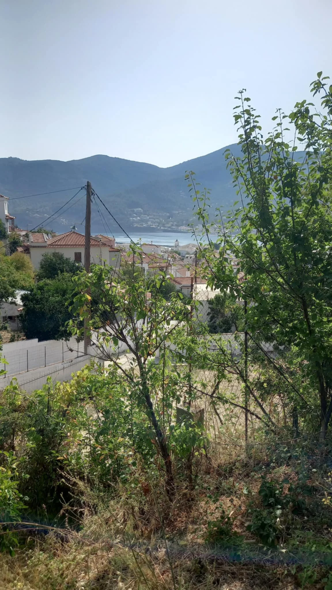 farmhouse_with_beautiful_piece_of_land_in_ Skopelos_town_view.jpg