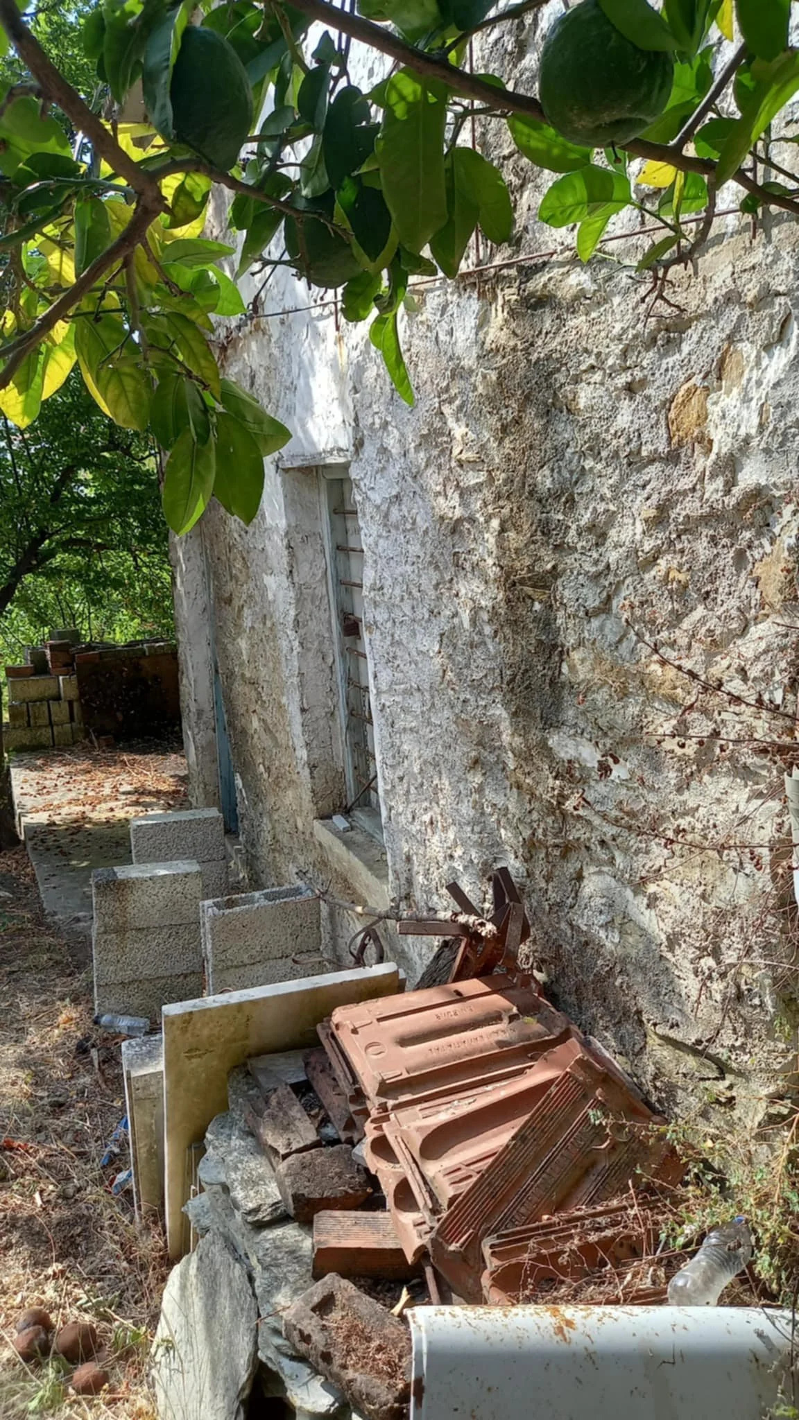 farmhouse_with_beautiful_piece_of_land_in_ Skopelos_town_side.jpg