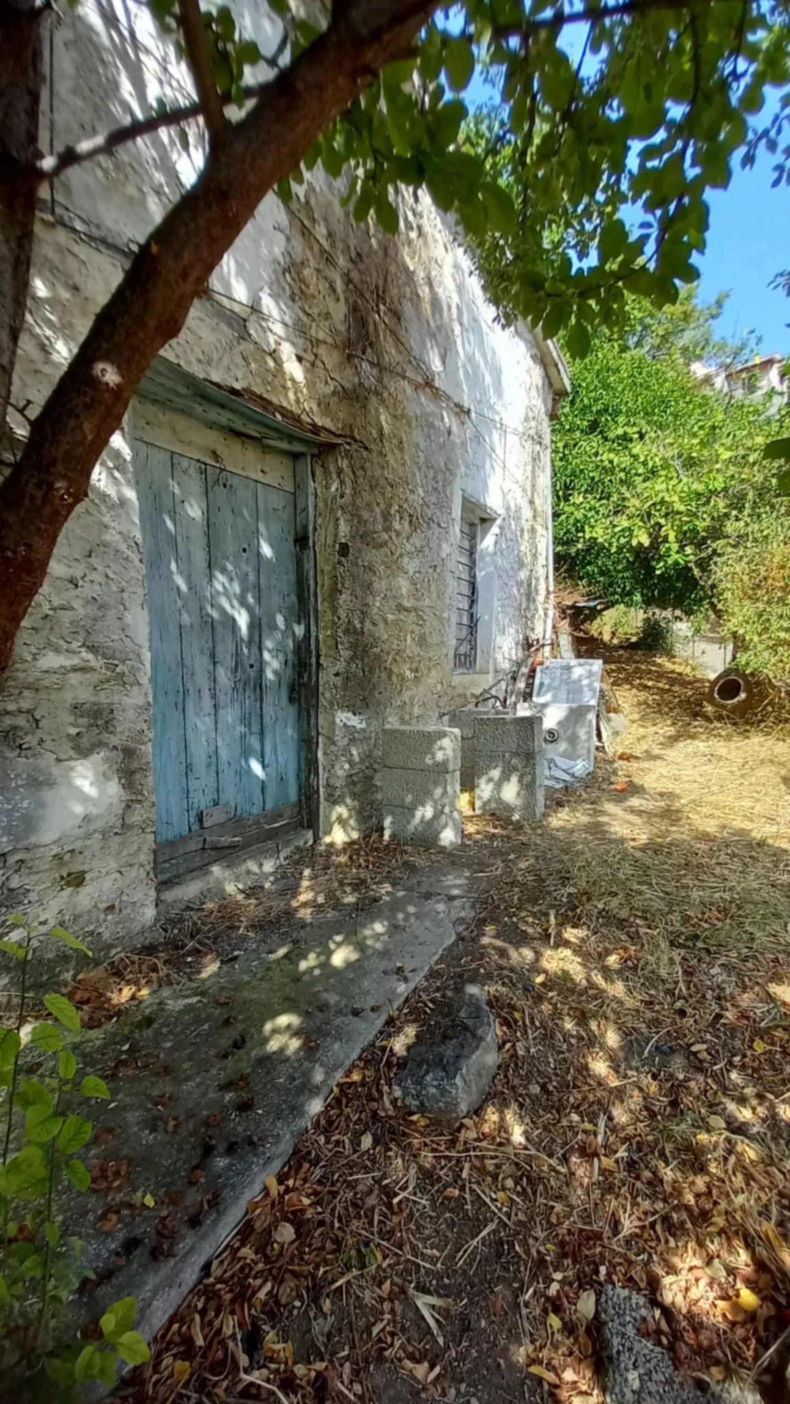 farmhouse_with_beautiful_piece_of_land_in_ Skopelos_town_blue.jpg