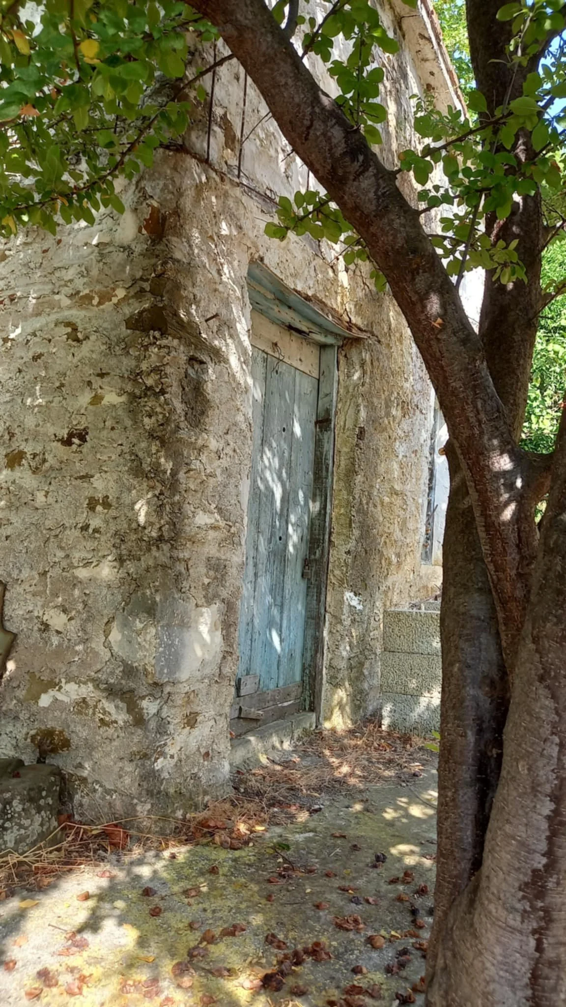 farmhouse_with_beautiful_piece_of_land_in_ Skopelos_town_close_door.jpg