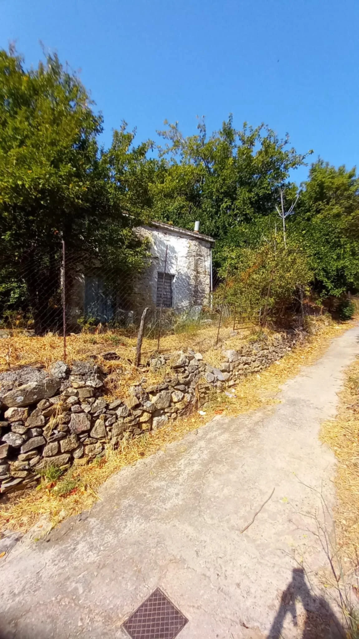 farmhouse_with_beautiful_piece_of_land_in_ Skopelos_town_road.jpg