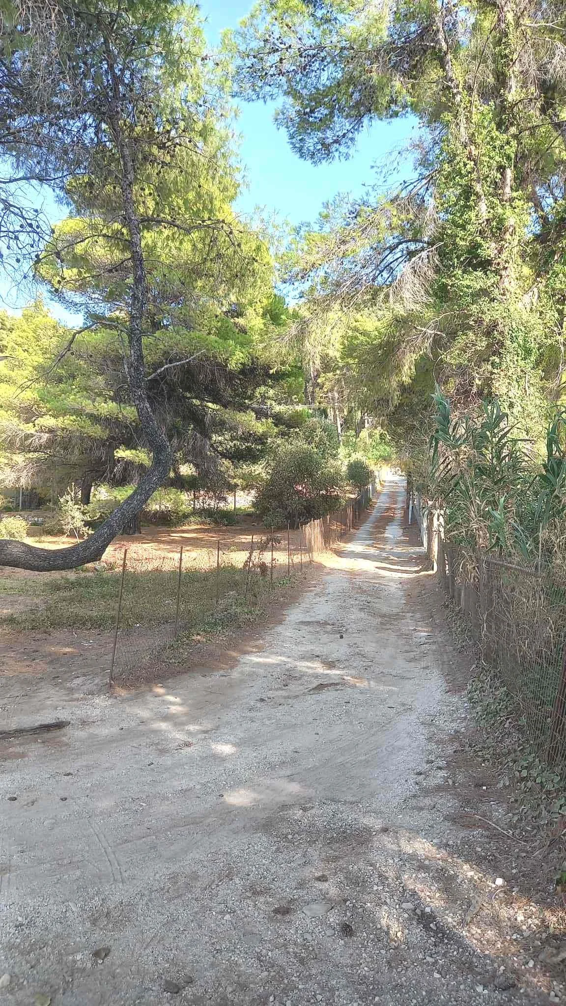 land_next_to_the_sea_in_Milia_sea_road.jpg