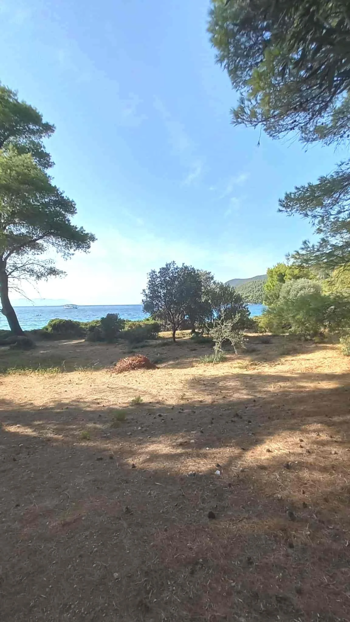 land_next_to_the_sea_in_Milia_sea_trees.jpg