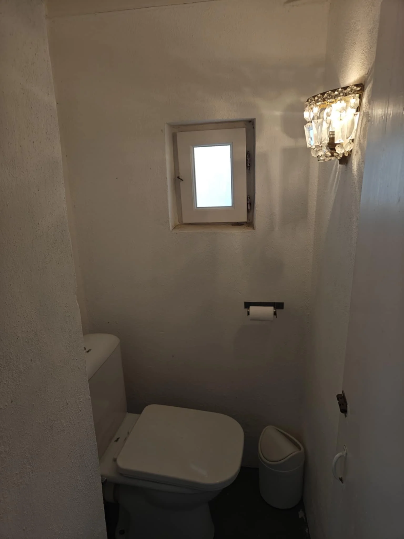 Gorgeous_historic townhouse_with_a_view_basement toilet.jpeg