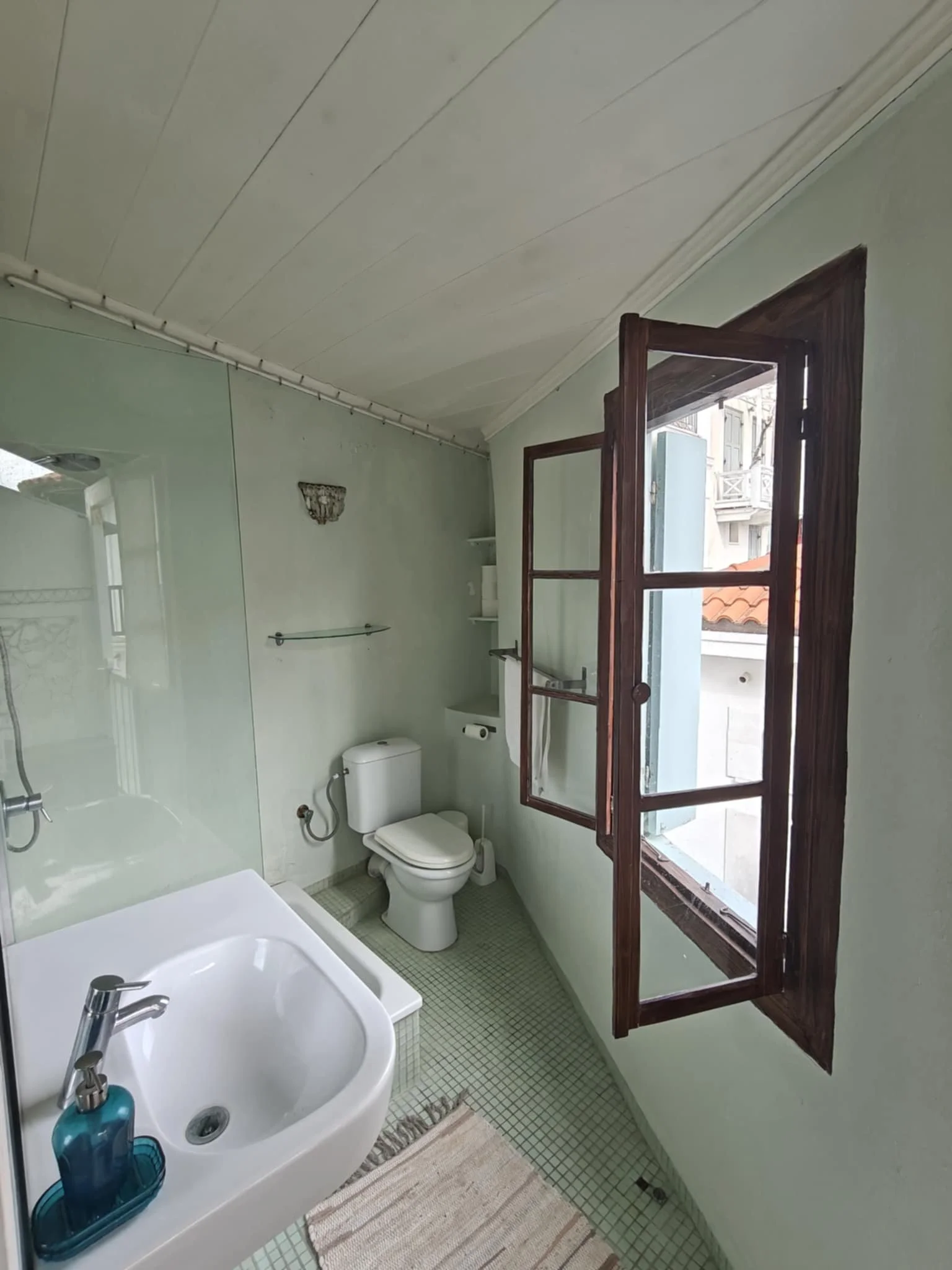 Gorgeous_historic townhouse_with_a_view_toilet_window.jpeg