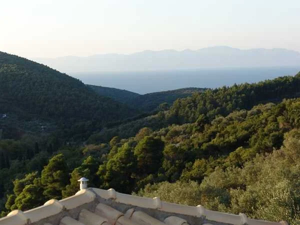 architect_designed_big_villa_with-a_sea_view_green.jpg