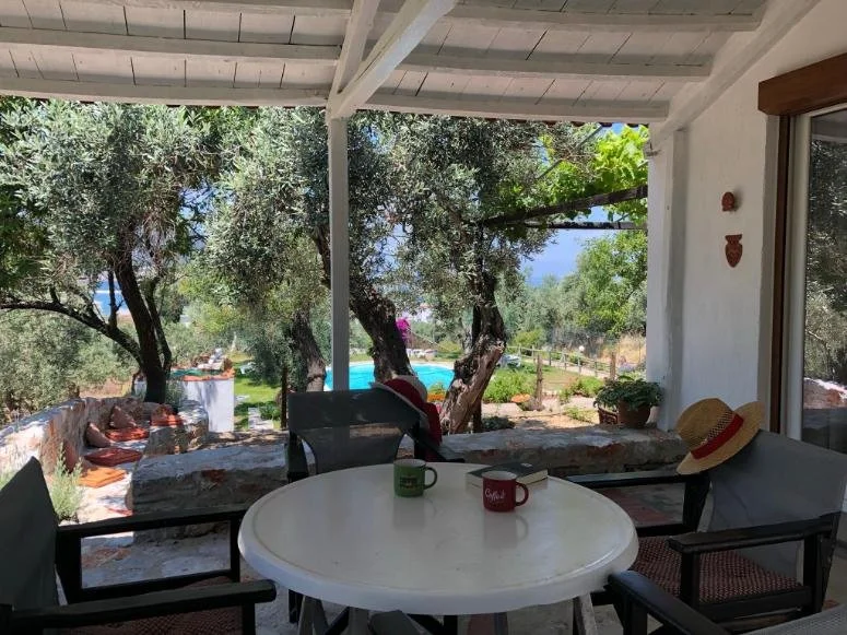 two_wonderful_apartments_with_a_sea_view_mugs.jpg