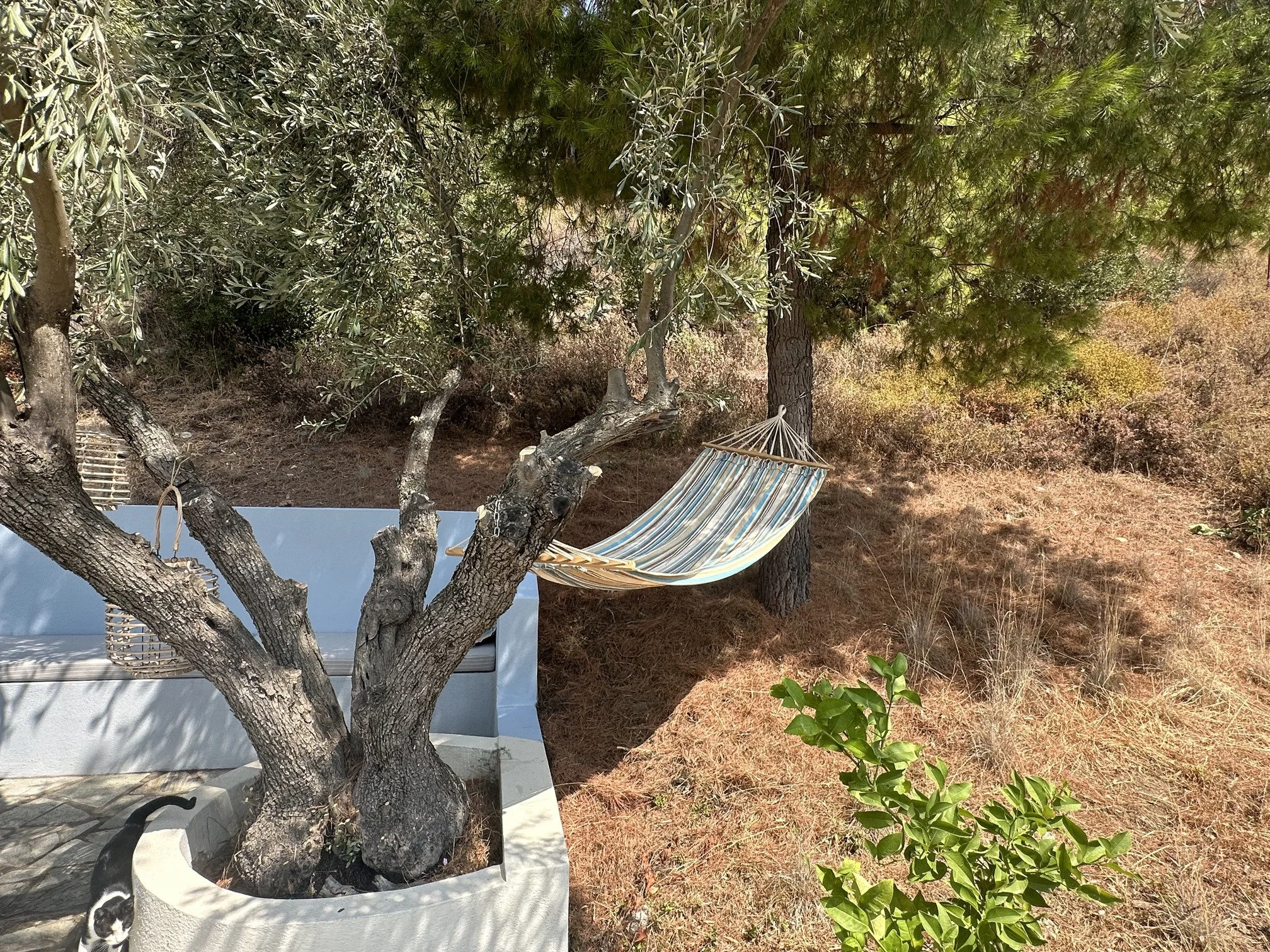 wonderful_well_built_villa_with_amazing_view_aora.jpg