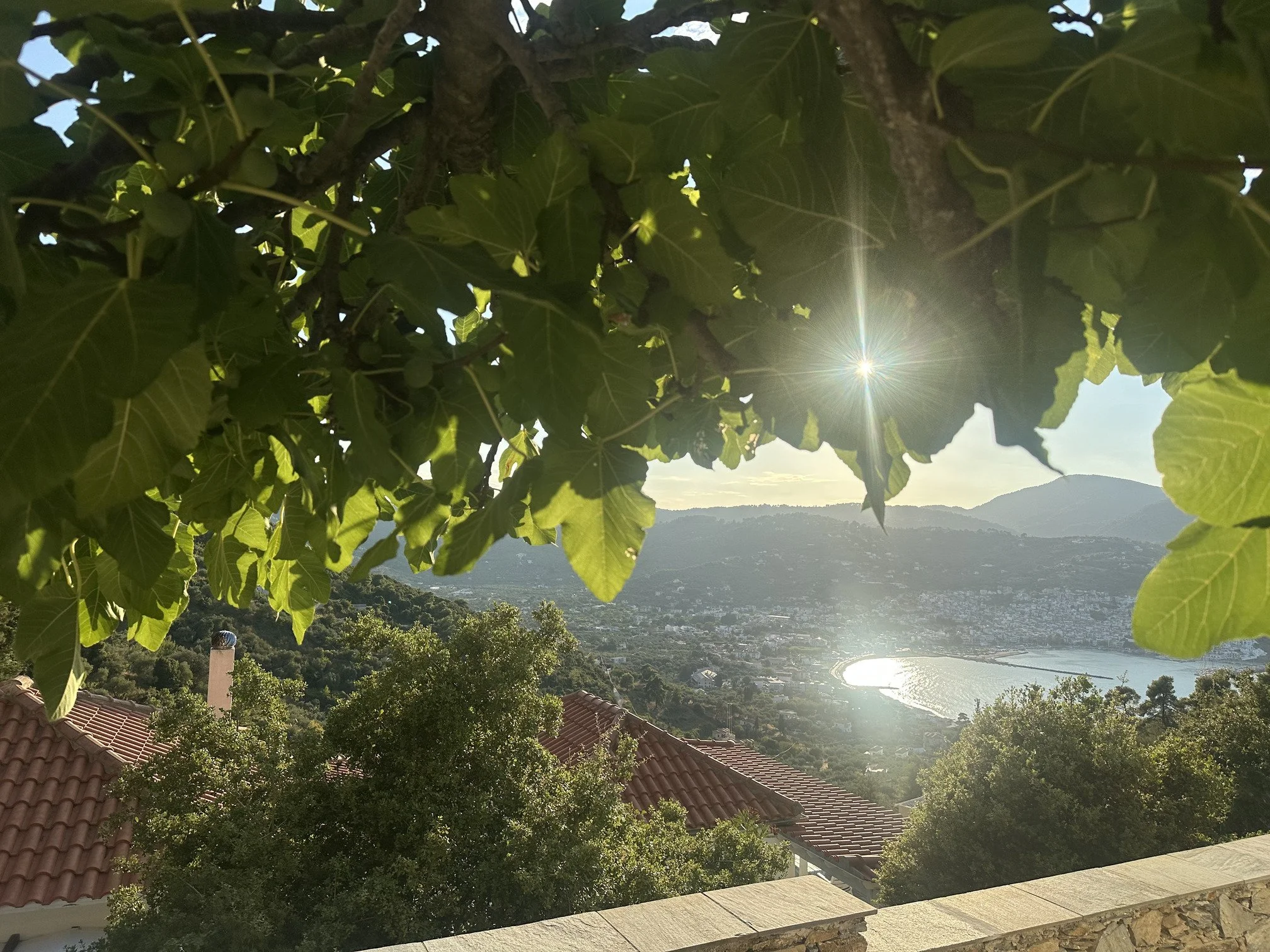 wonderful_well_built_villa_with_amazing_view_leaves.jpg