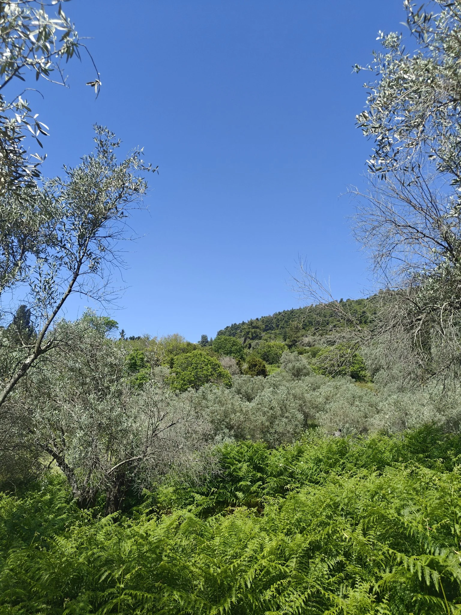 hidden_gem_in_potami_sky.jpg