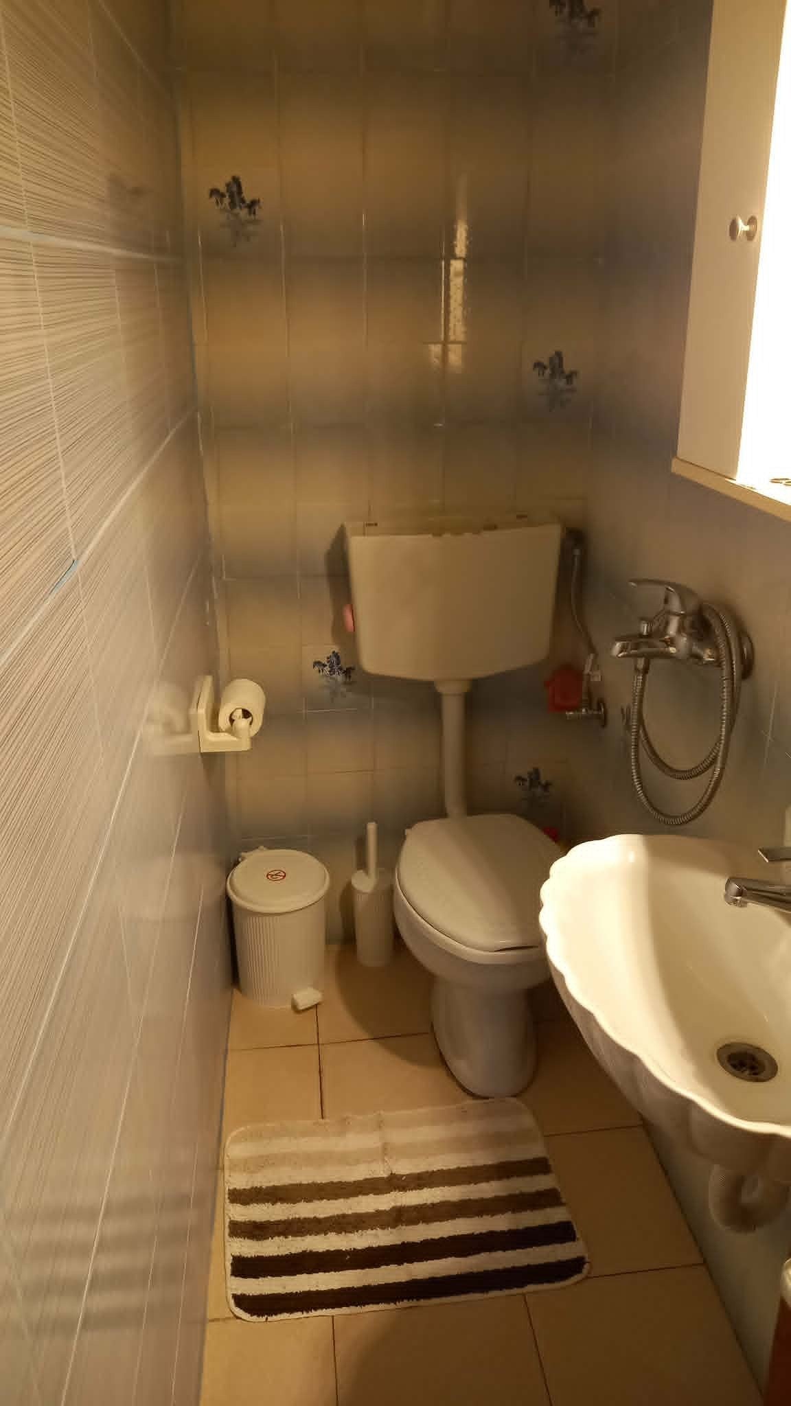 big_townhouse_sink.jpg