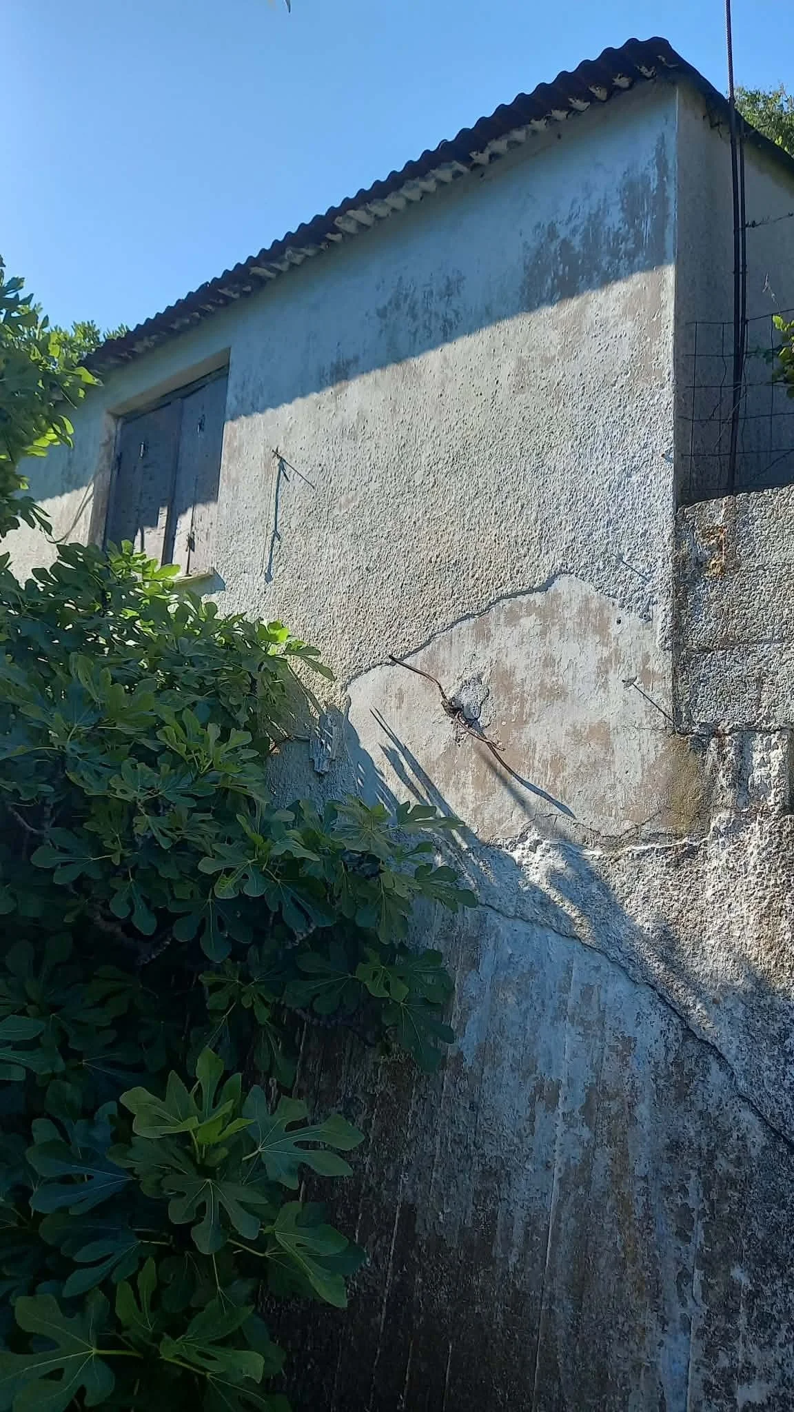 a_landmark_in_Skopelos_history_is_for sale_second_storage_up.jpg