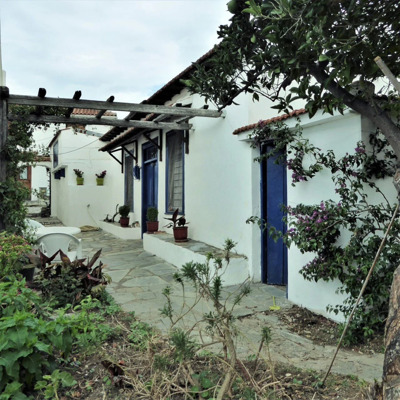 Fig_tree_cottage_wonderful_home_front.jpg