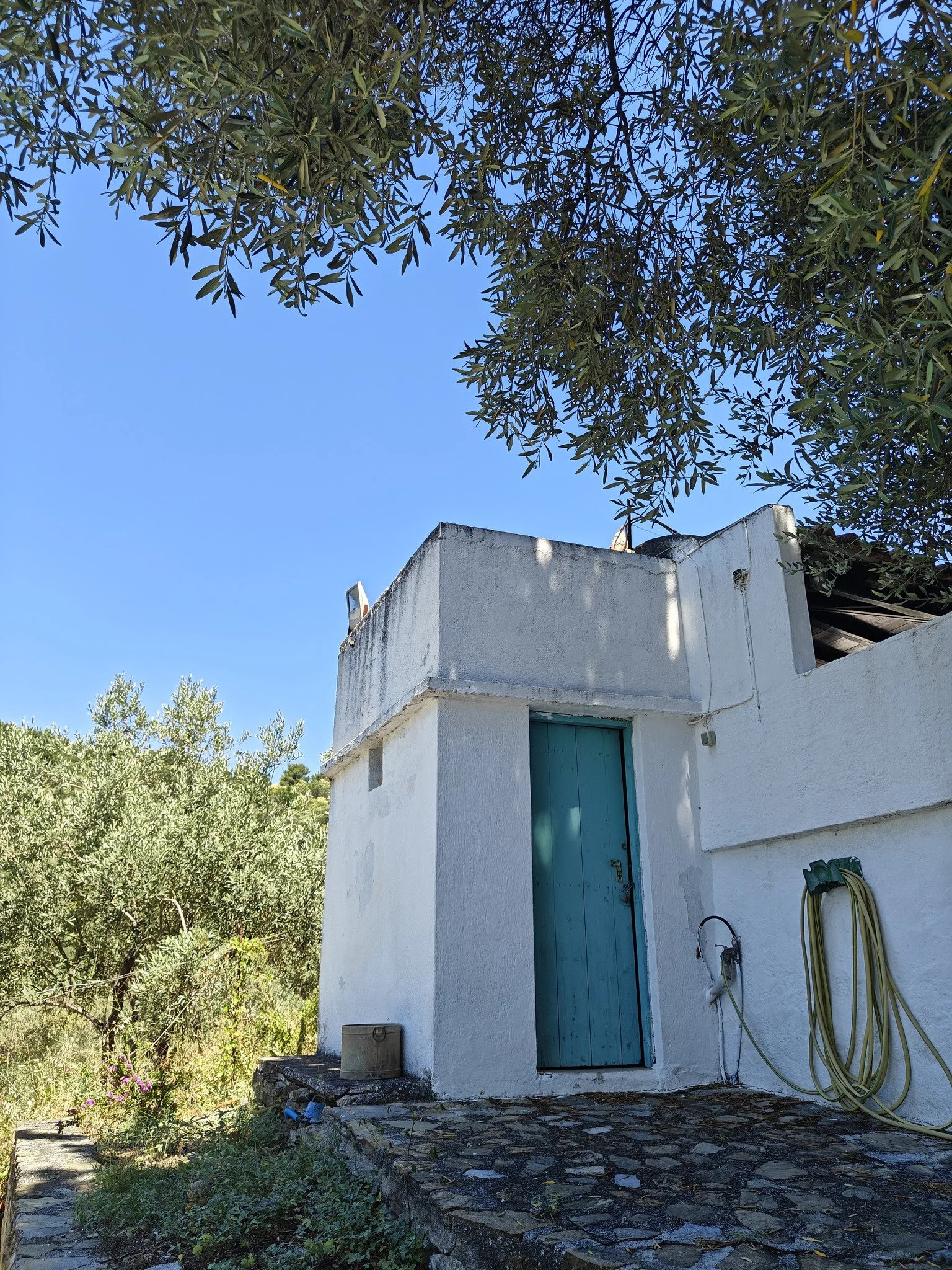 a_farmhouse_a_cabin_and_a_church_pool_house.jpg