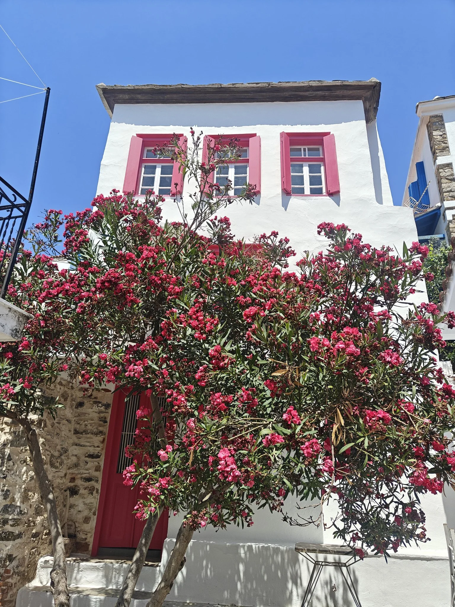 adorable_house_with_a_seaview_face.jpg