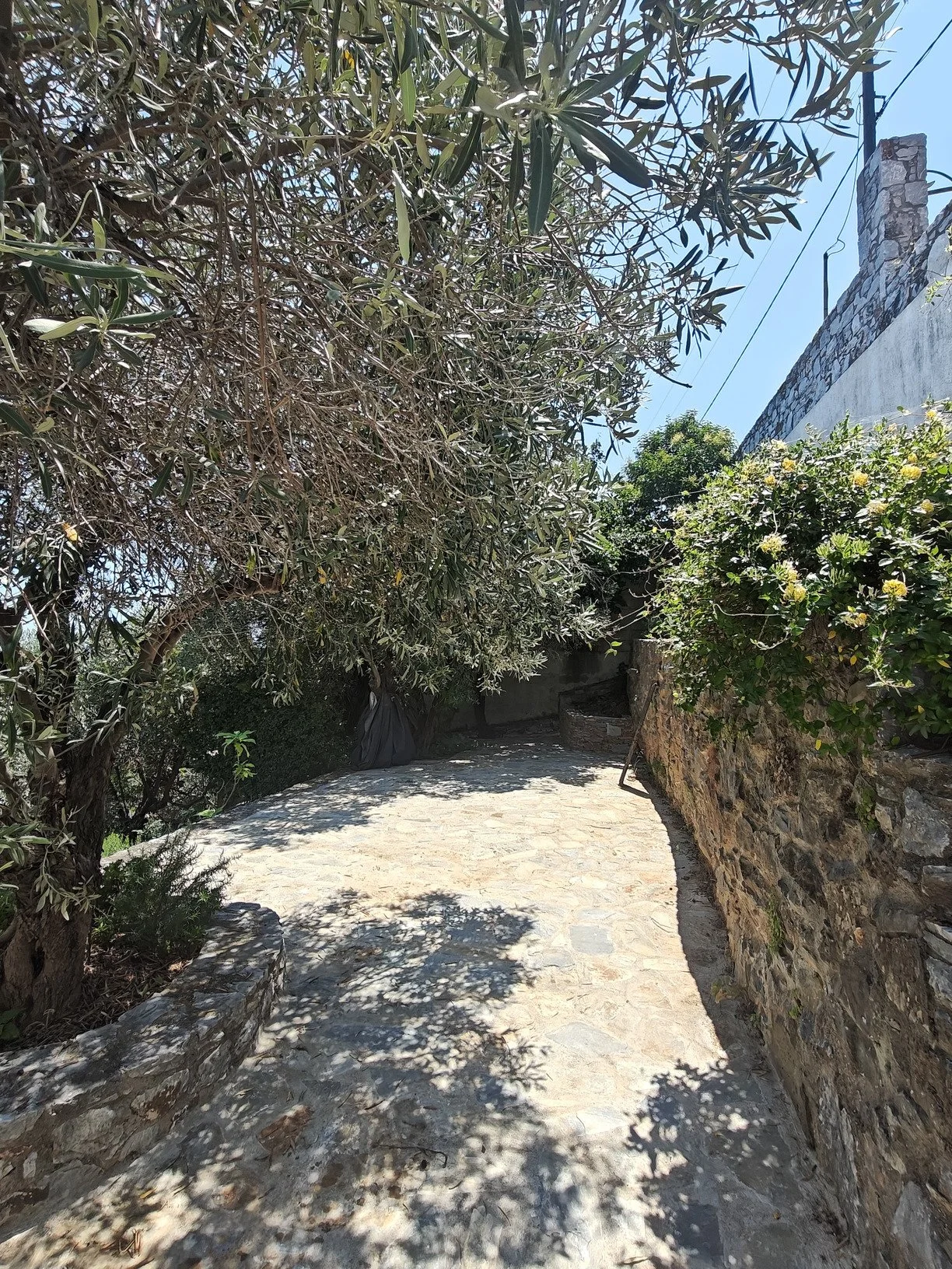  Stunning_villa_with_a_breathtaking_ panoramic_sea_ view_openspace.jpg