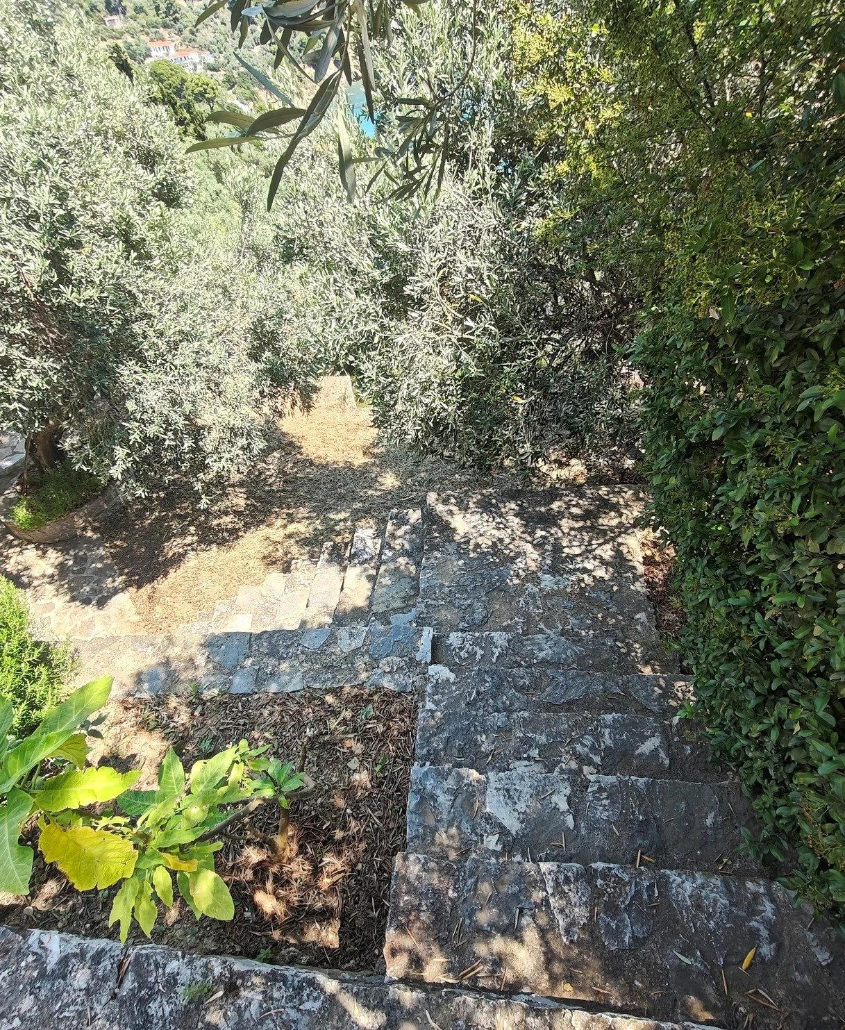  Stunning_villa_with_a_breathtaking_ panoramic_sea_ view_stairs.jpg