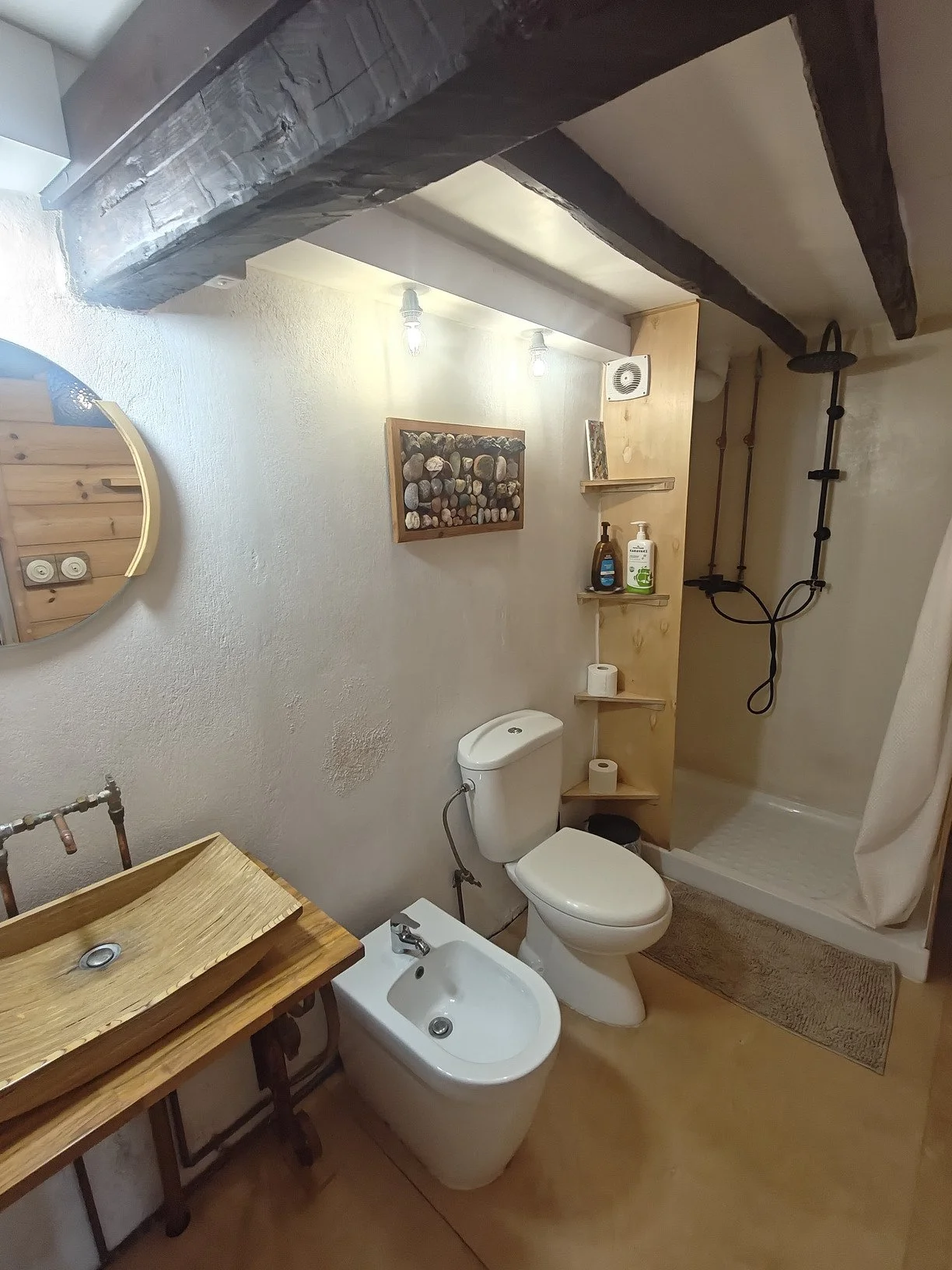 renovated_three_story_wood_based_house_toilet.jpg