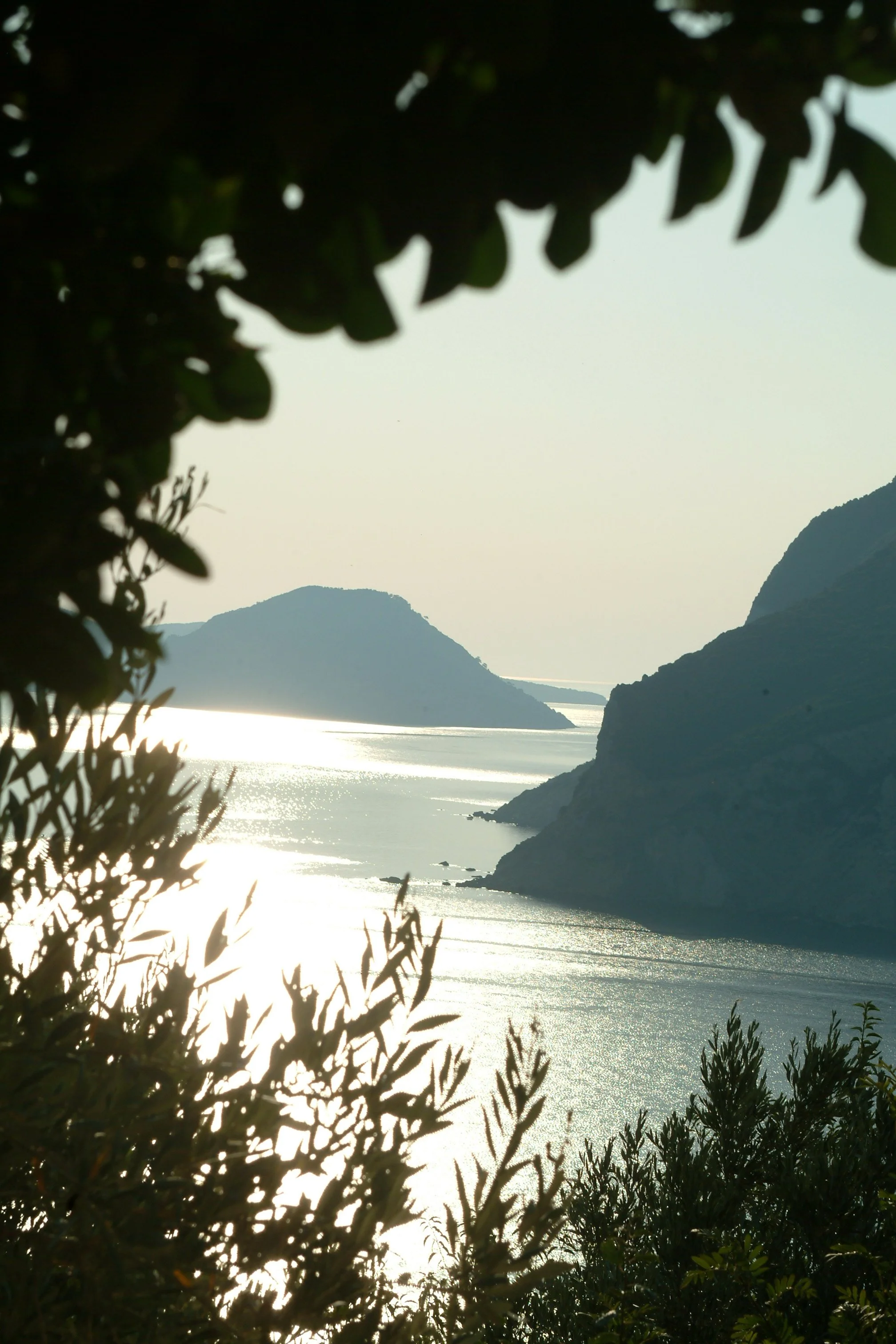 view home.JPG