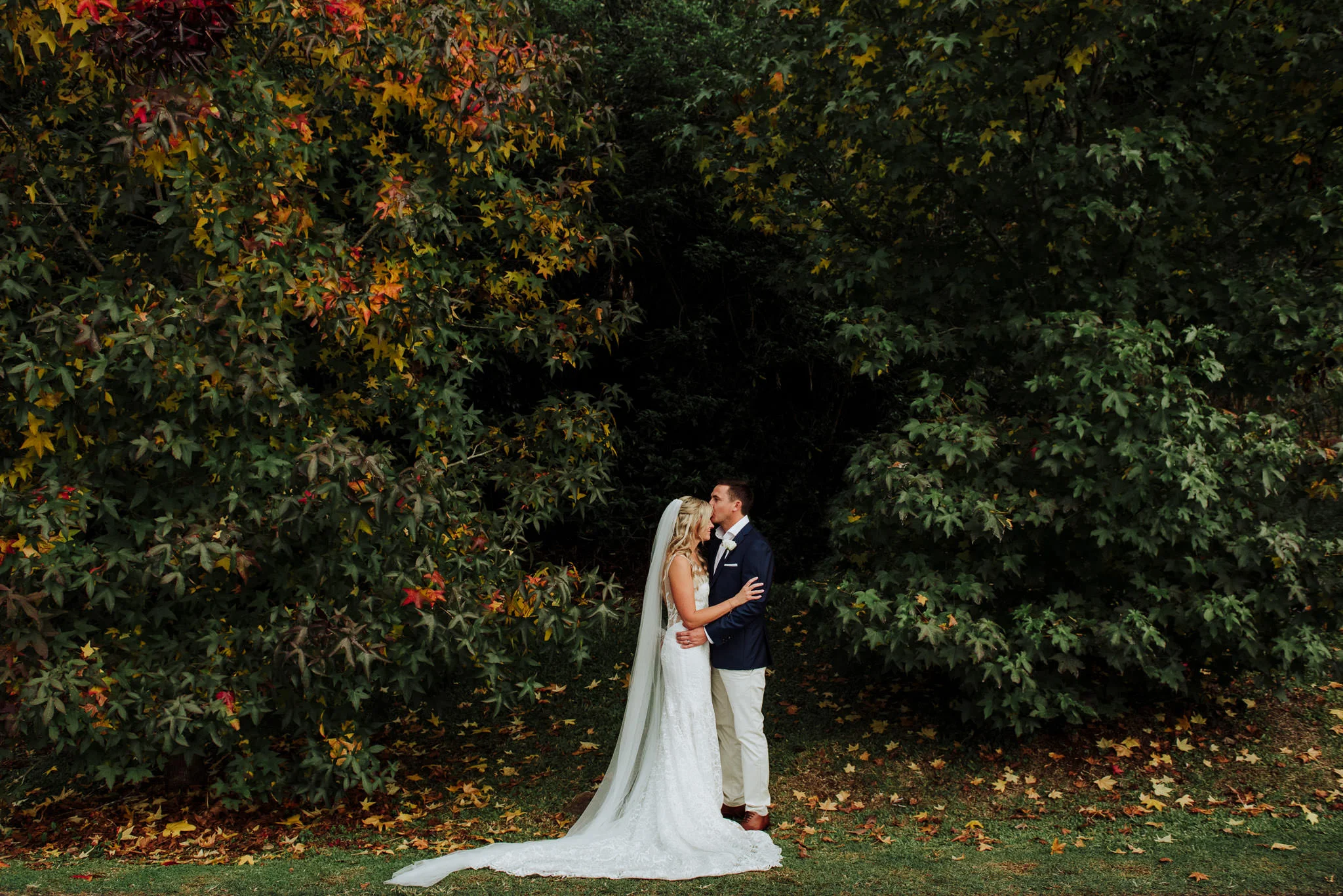 brisbane-wedding-photographer-header-13.jpg