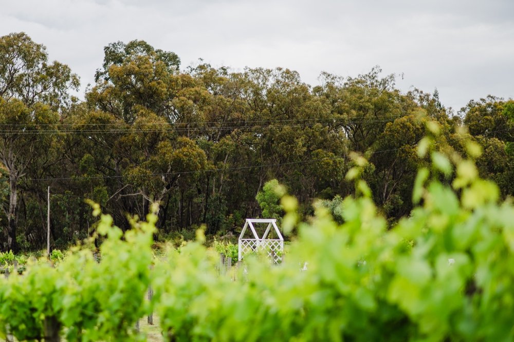 Granite-Belt-Brewery-Wedding-Stanthorpe-Photographer-00025.jpg