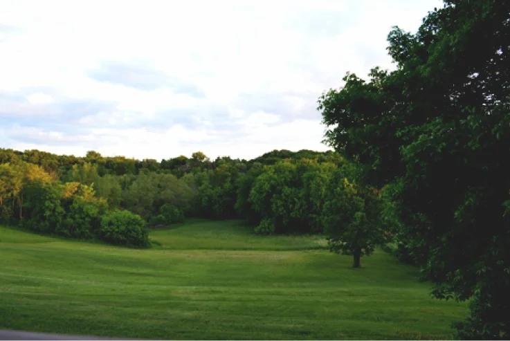 Beautiful backyard view from the house.