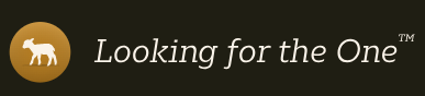 looking for the one logo.png