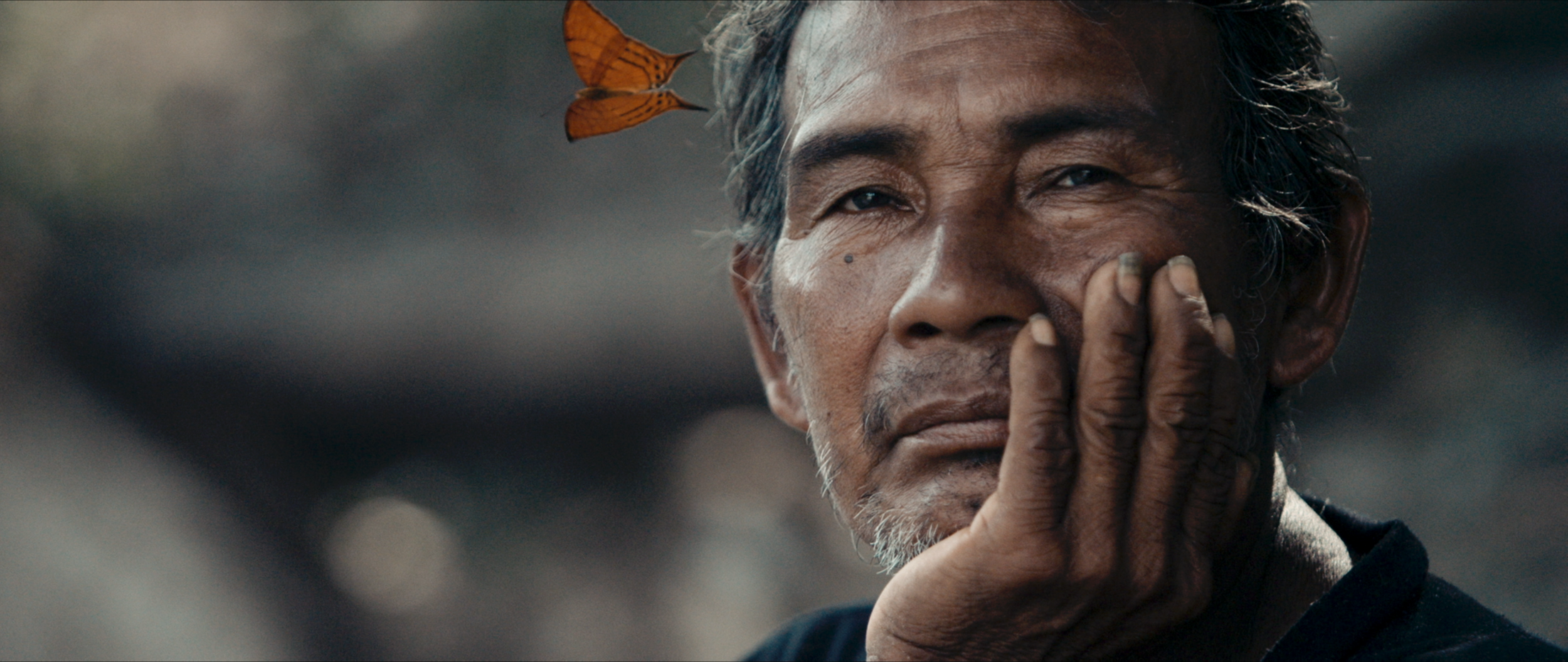 Piraha Toibaiti.png