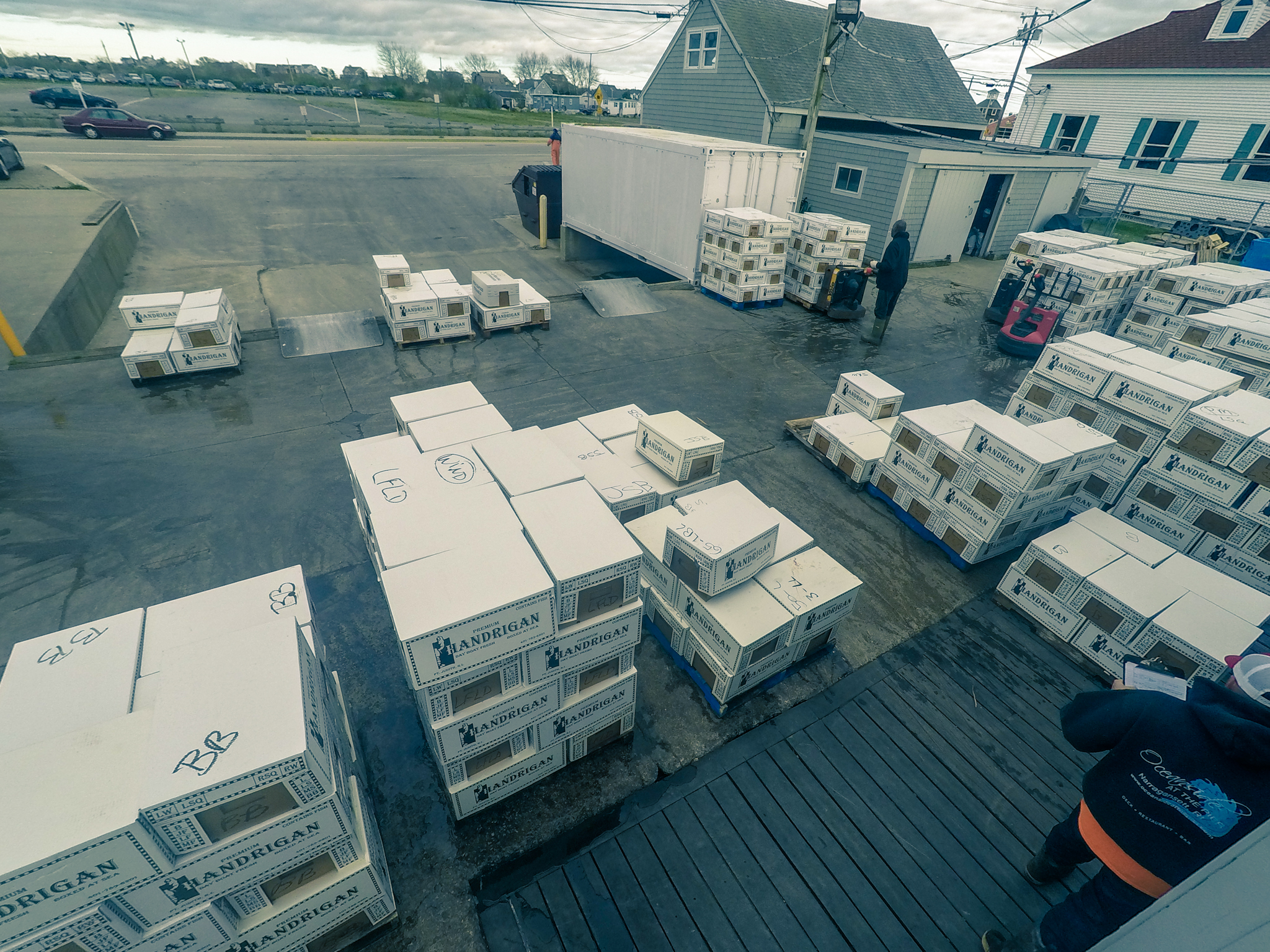 Fresh fish boxed in ice and ready to ship.
