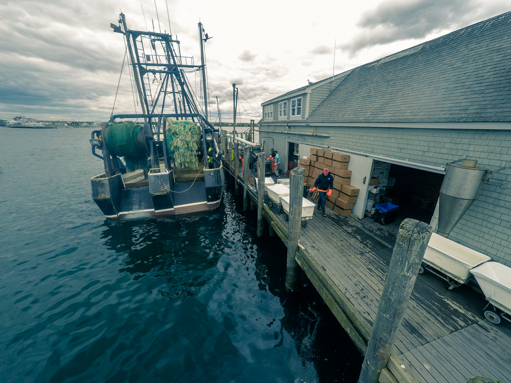  F/V Rayda Cheramie unloading. 