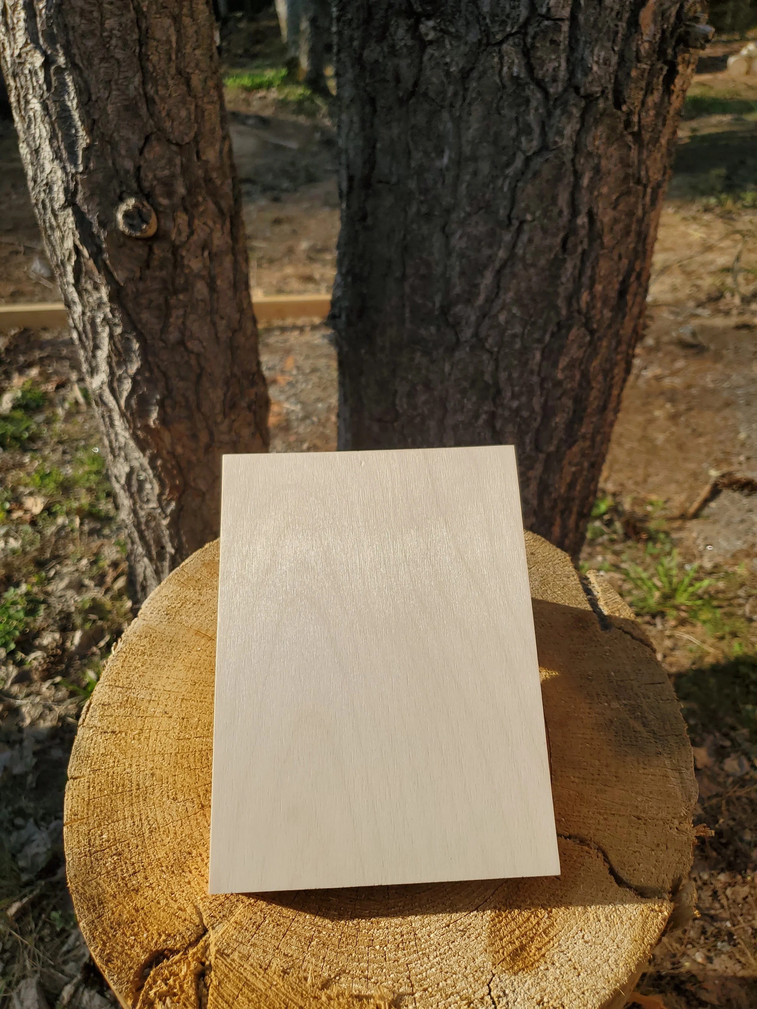 6x8 Artist Panel