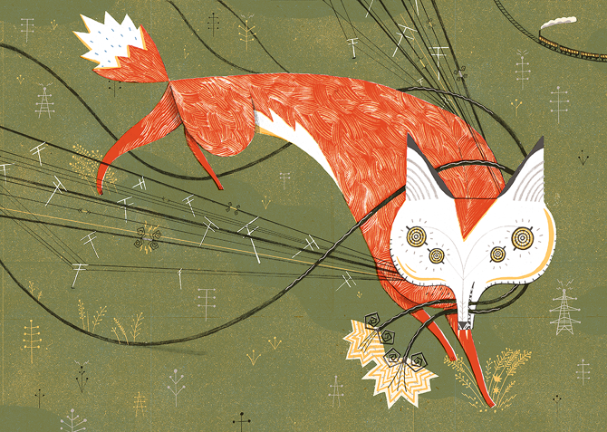 wirefox_jbrion.jpg