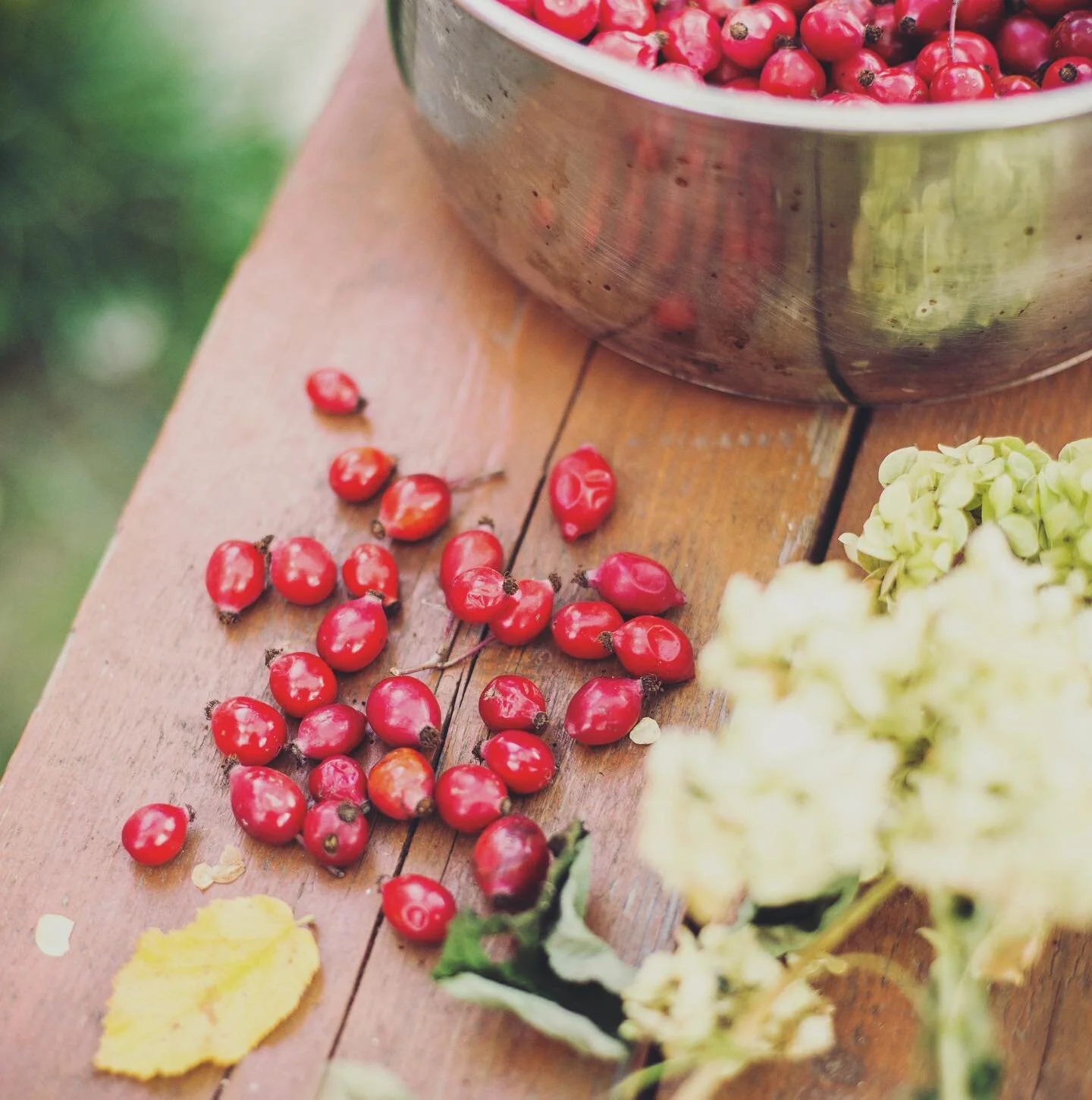 Orange Bayberry 🍊 Boost your Energy. Lift your mood with our signature blend of sweet orange peel and classic bayberry. The aroma can help to reduce symptoms of anxiety and depression, restoring clarity to your senses. Notes of balsam with ginger un