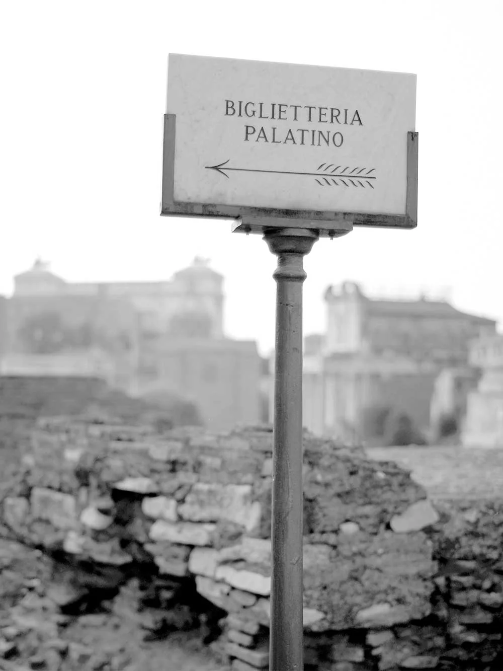 palatino_web.jpg