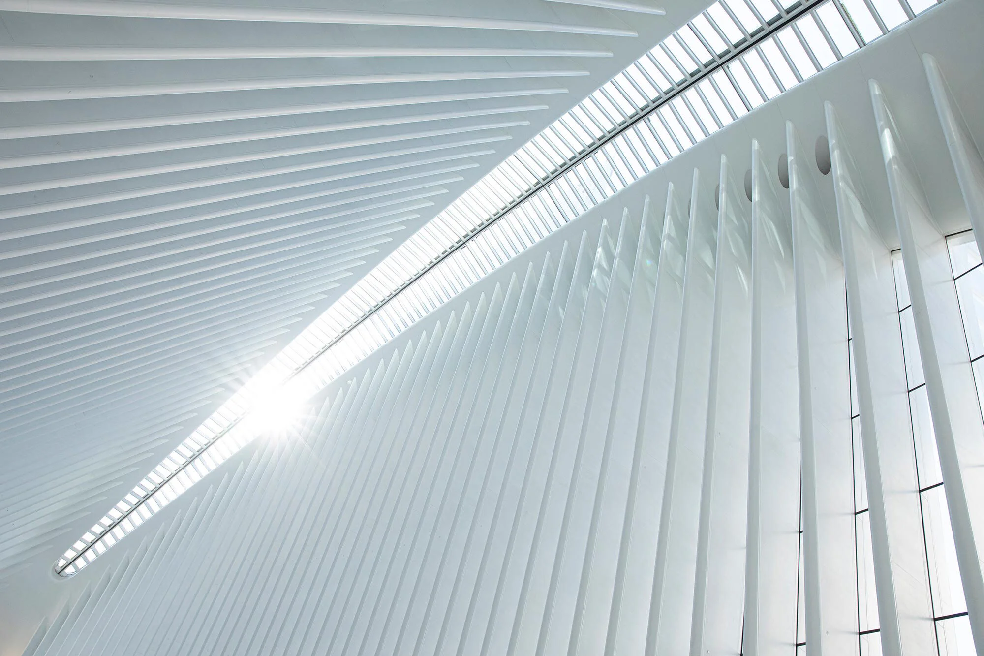 thormaehlen_oculus_VI.jpg