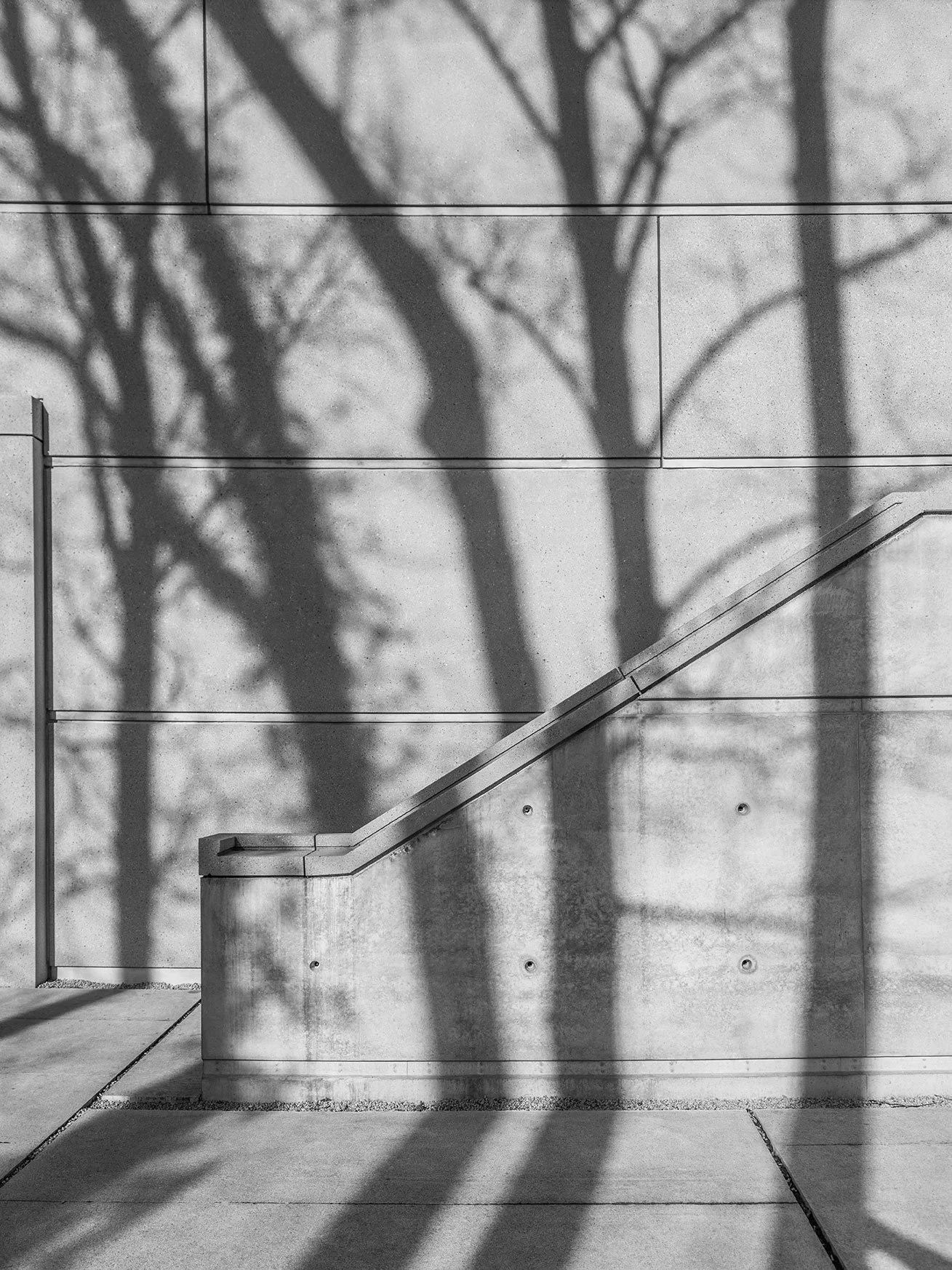 2R0A0323_web.jpg